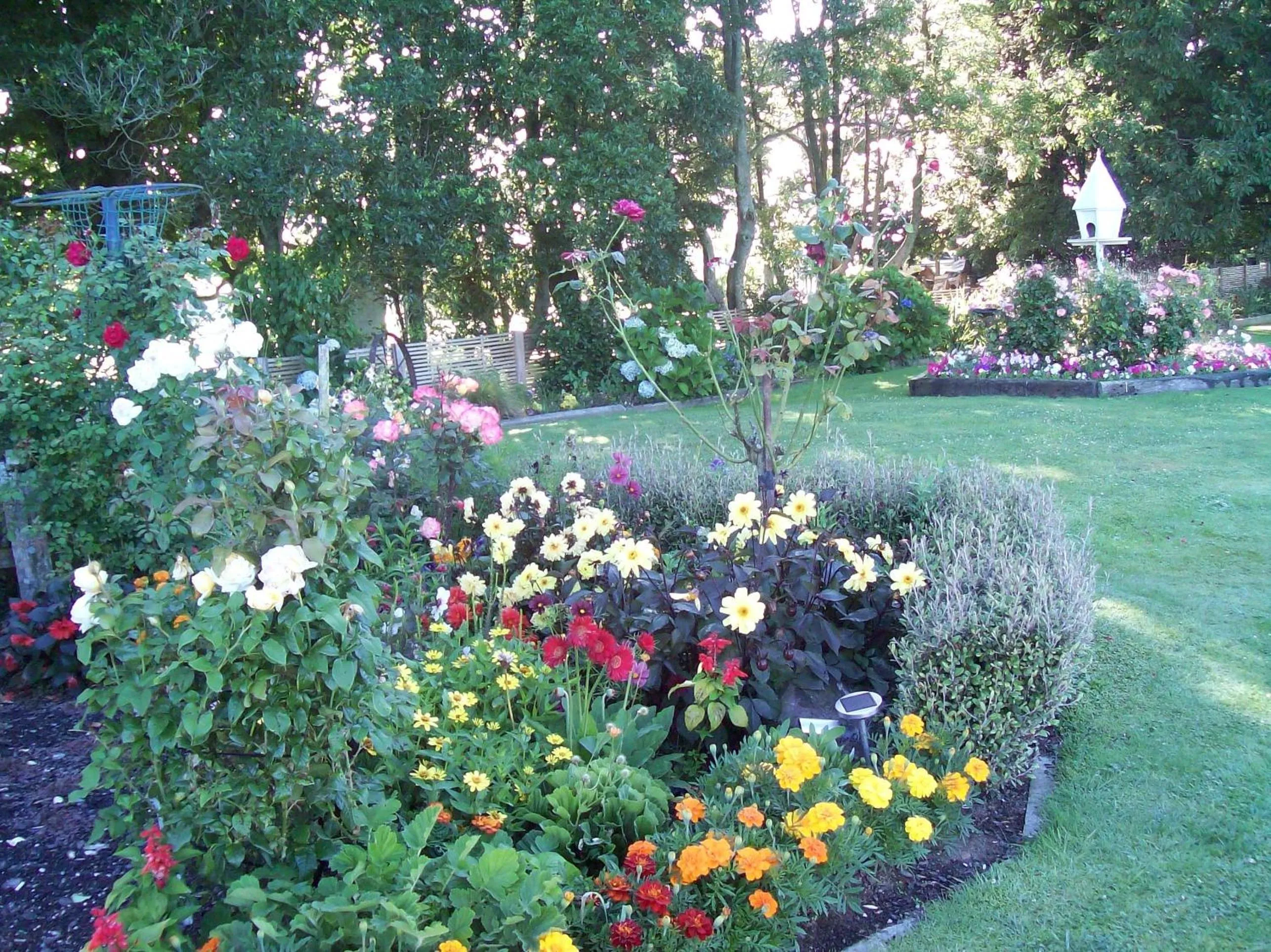 Garden in Tower Road Motel