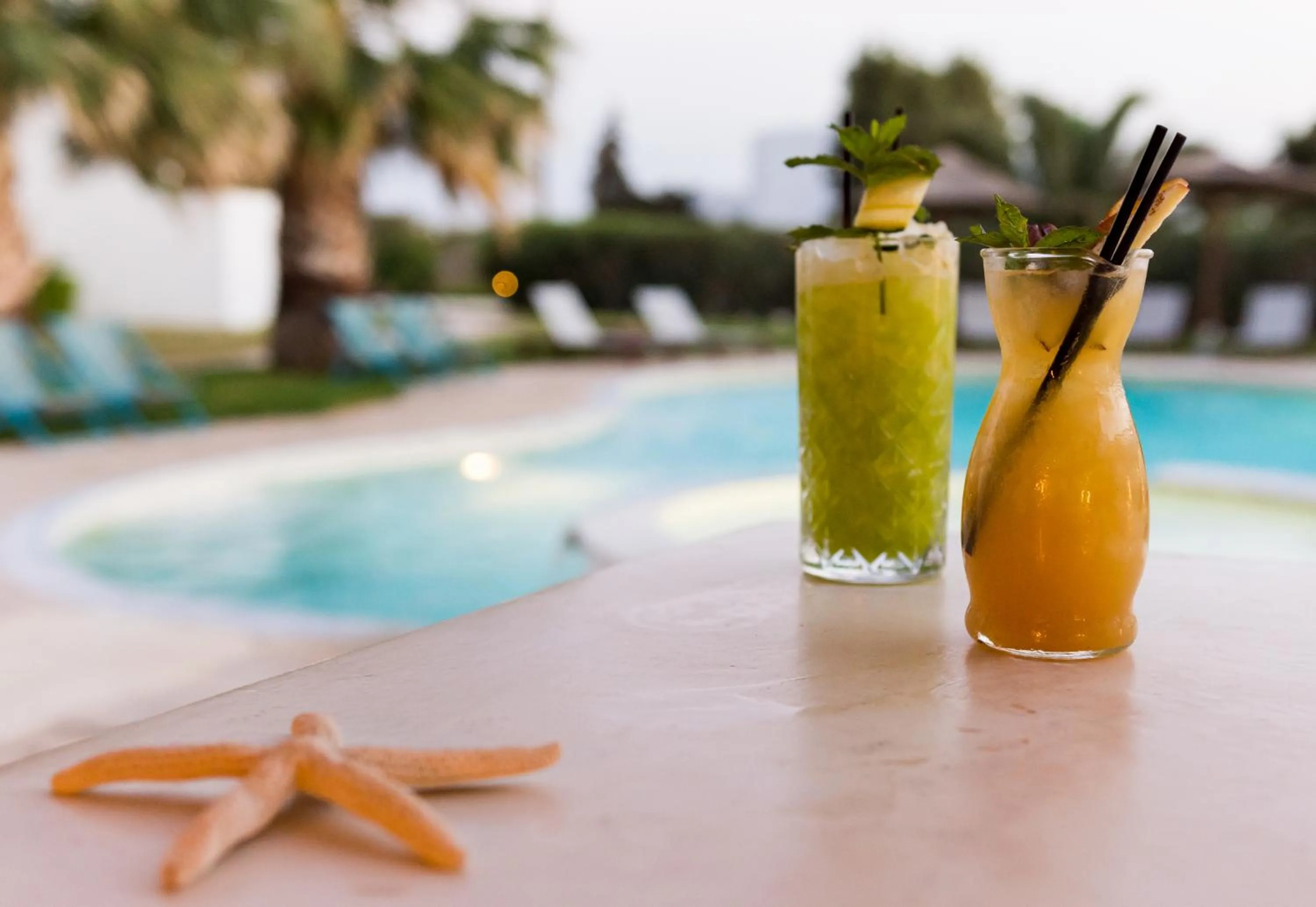 Alcoholic drinks in Dolphin Kastraki Studios