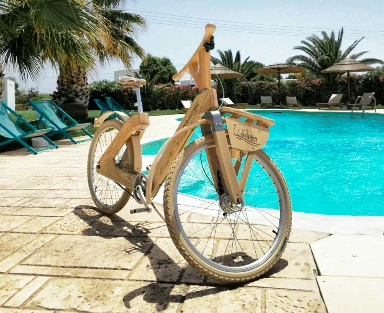 Cycling in Dolphin Kastraki Studios