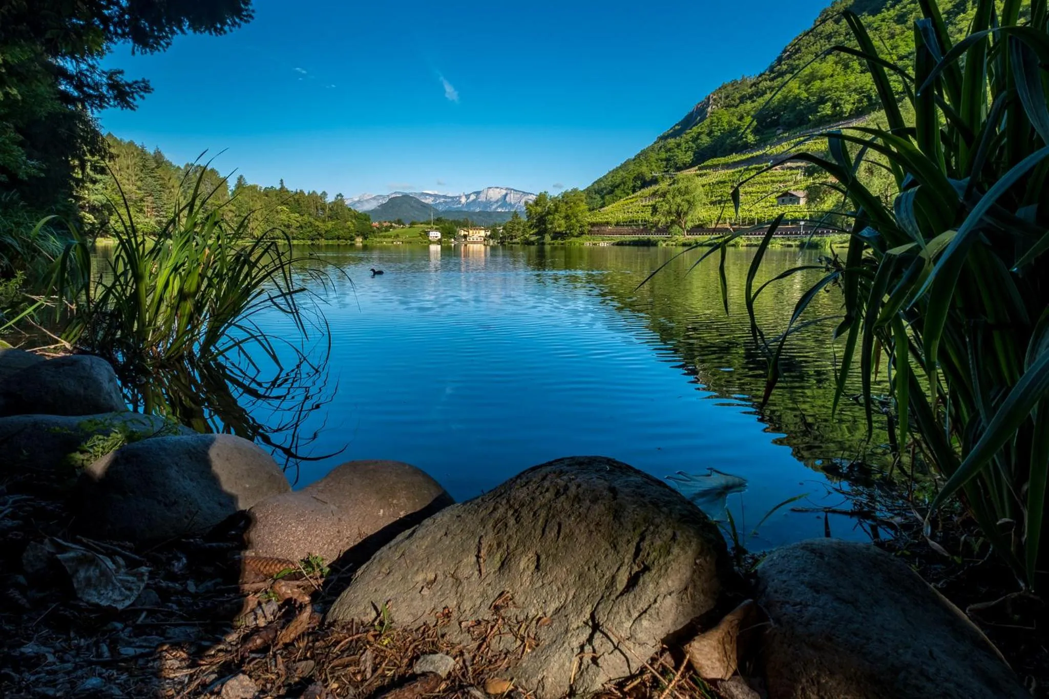 Lake view in Residence Hotel Miralago