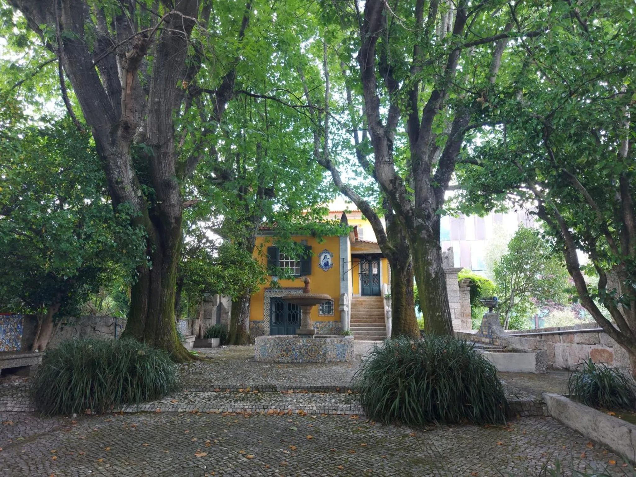 Property building in Camelia Rooms