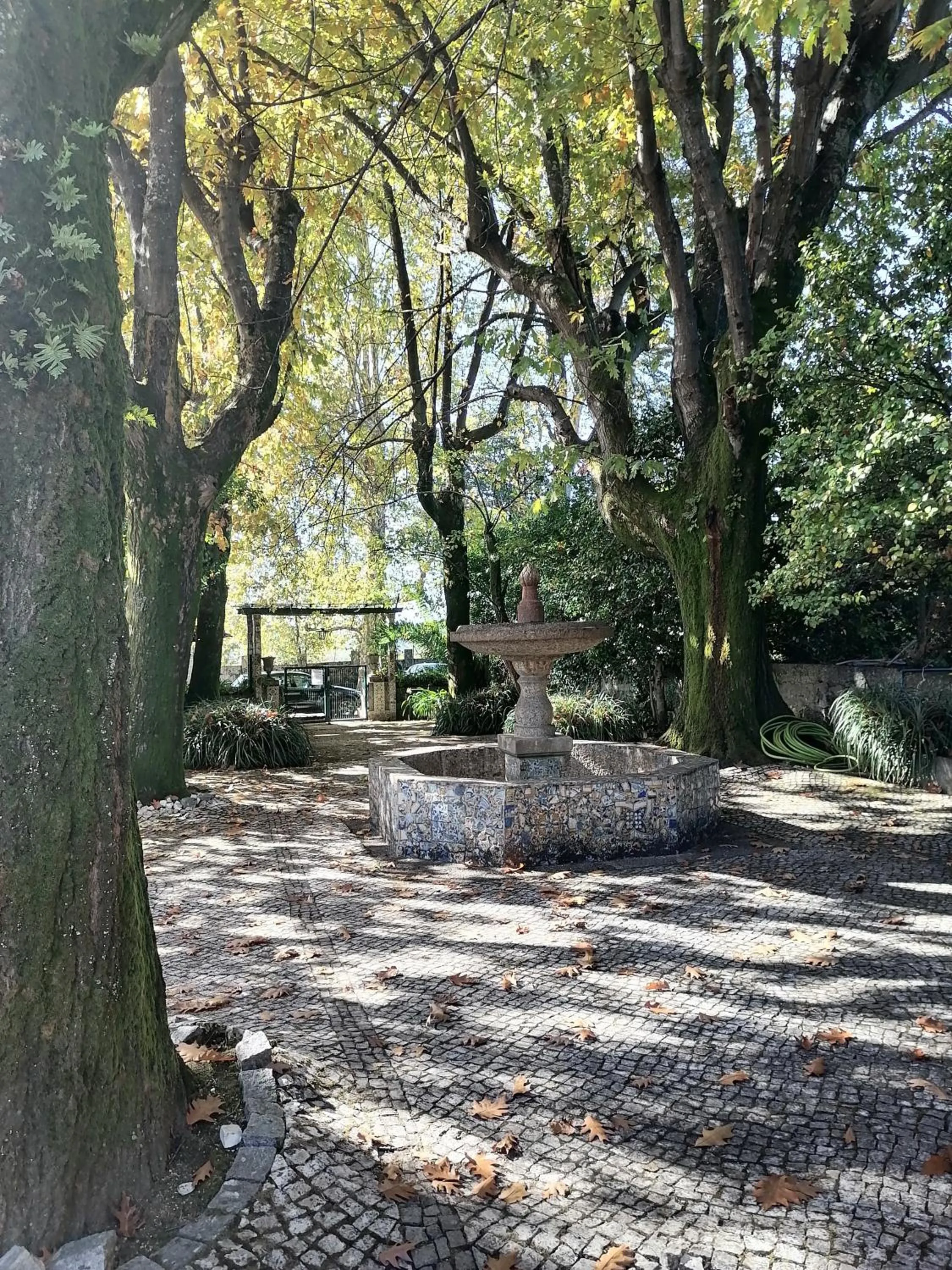 Patio in Camelia Rooms