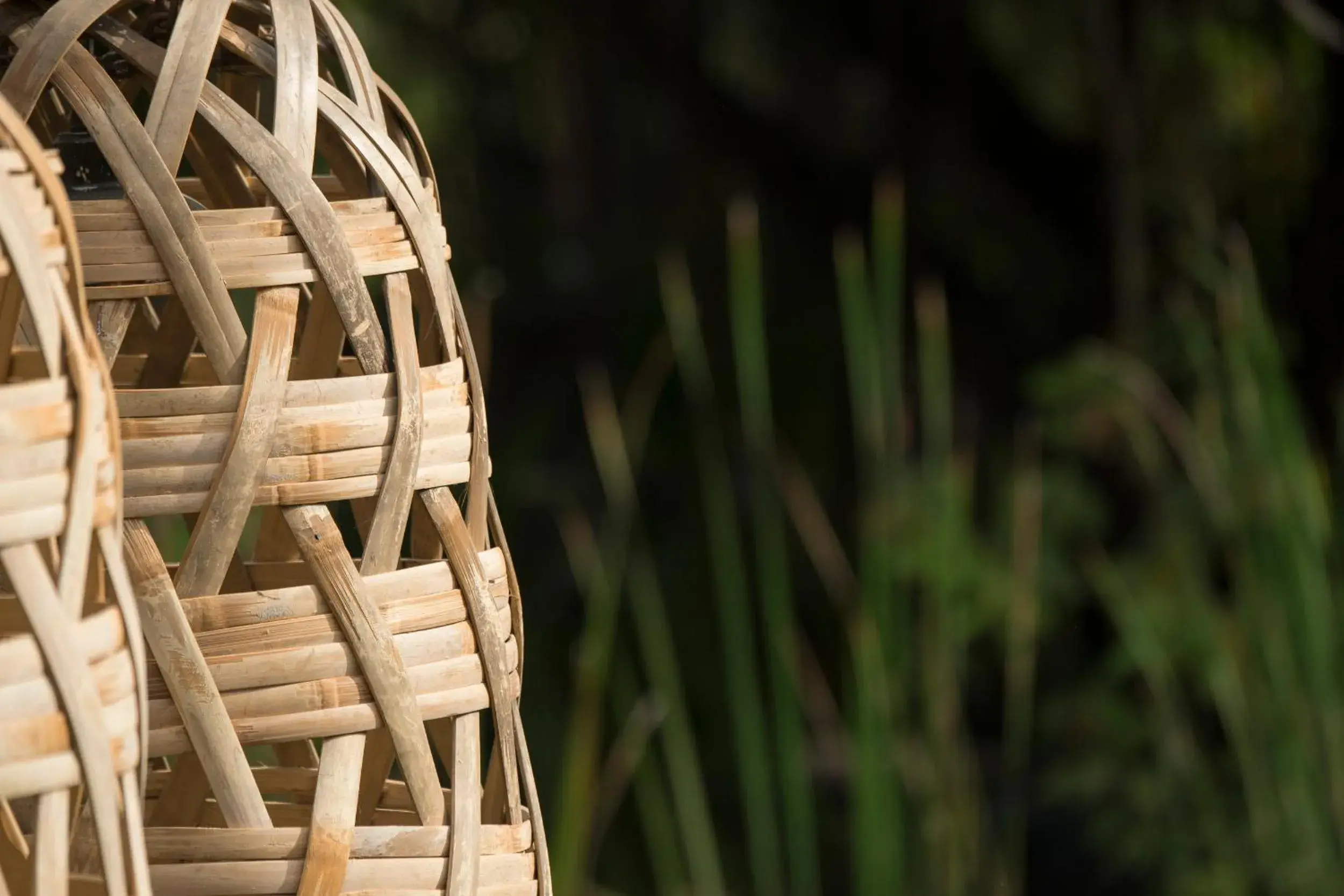 View (from property/room) in Maisons Wat Kor View (from property/room) in Maisons Wat Kor