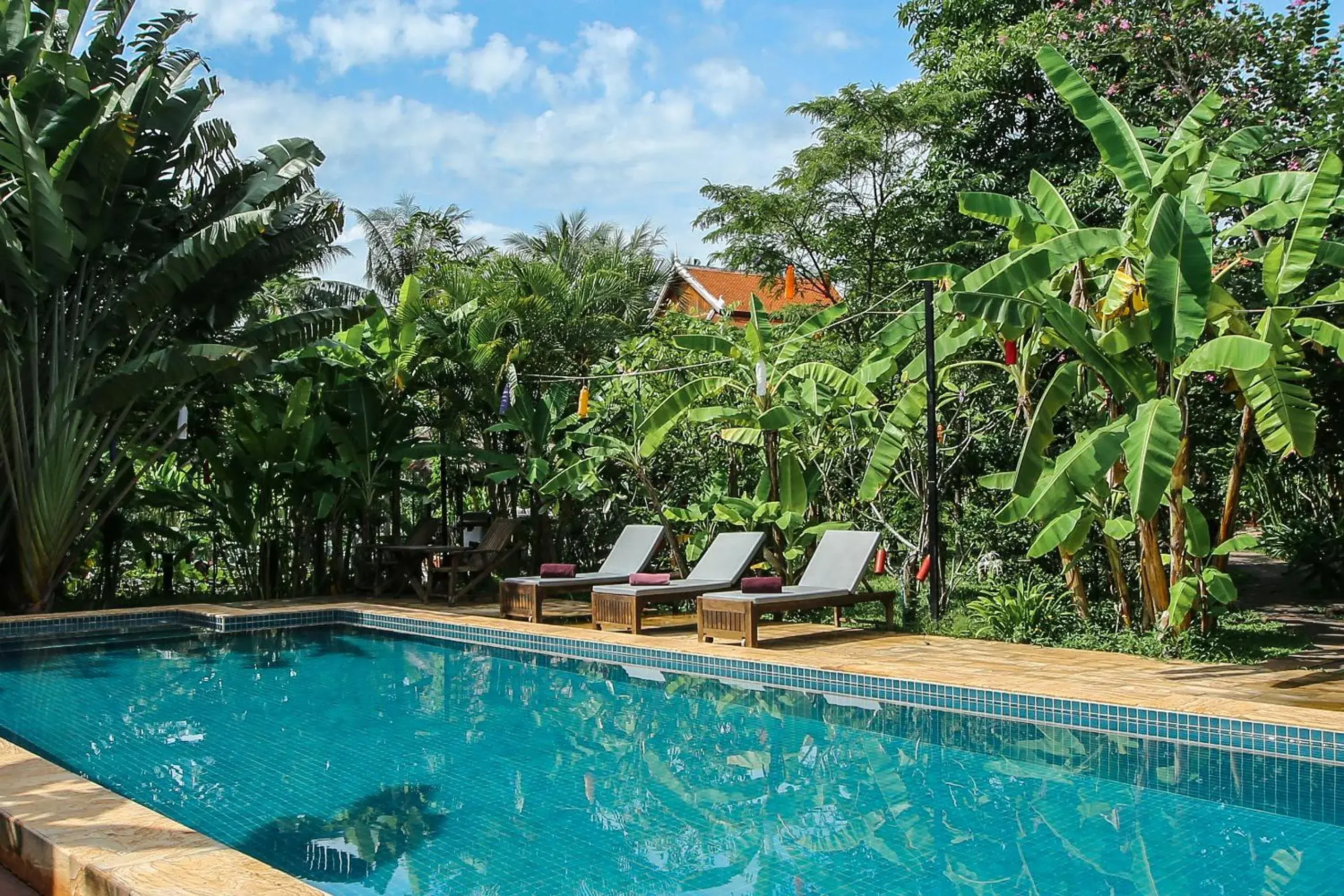 Swimming pool in Maisons Wat Kor Swimming pool in Maisons Wat Kor