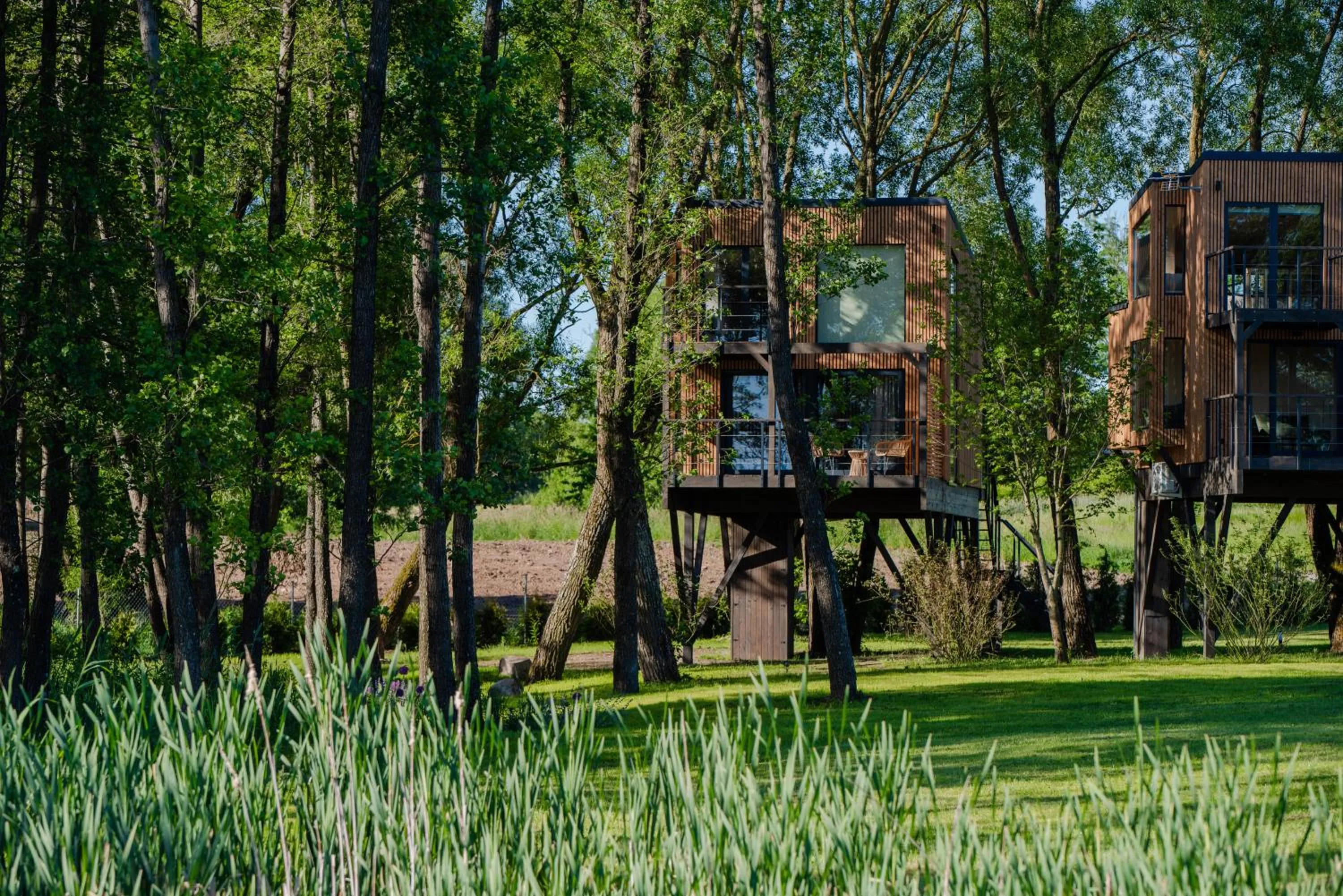 Garden in Pałac Warlity