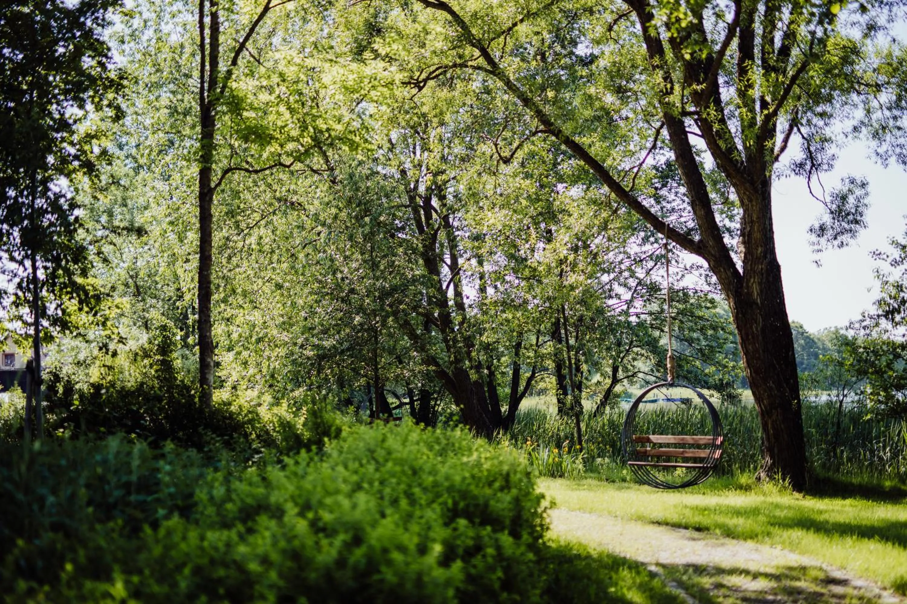 Garden in Pałac Warlity