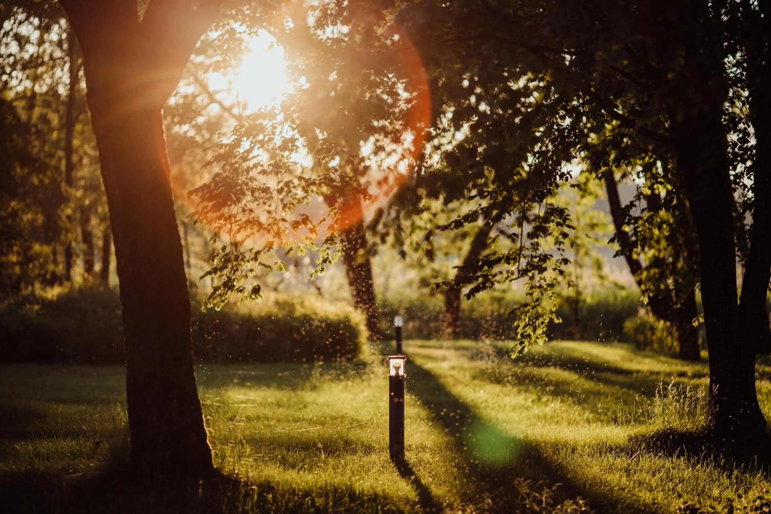 Garden in Pałac Warlity