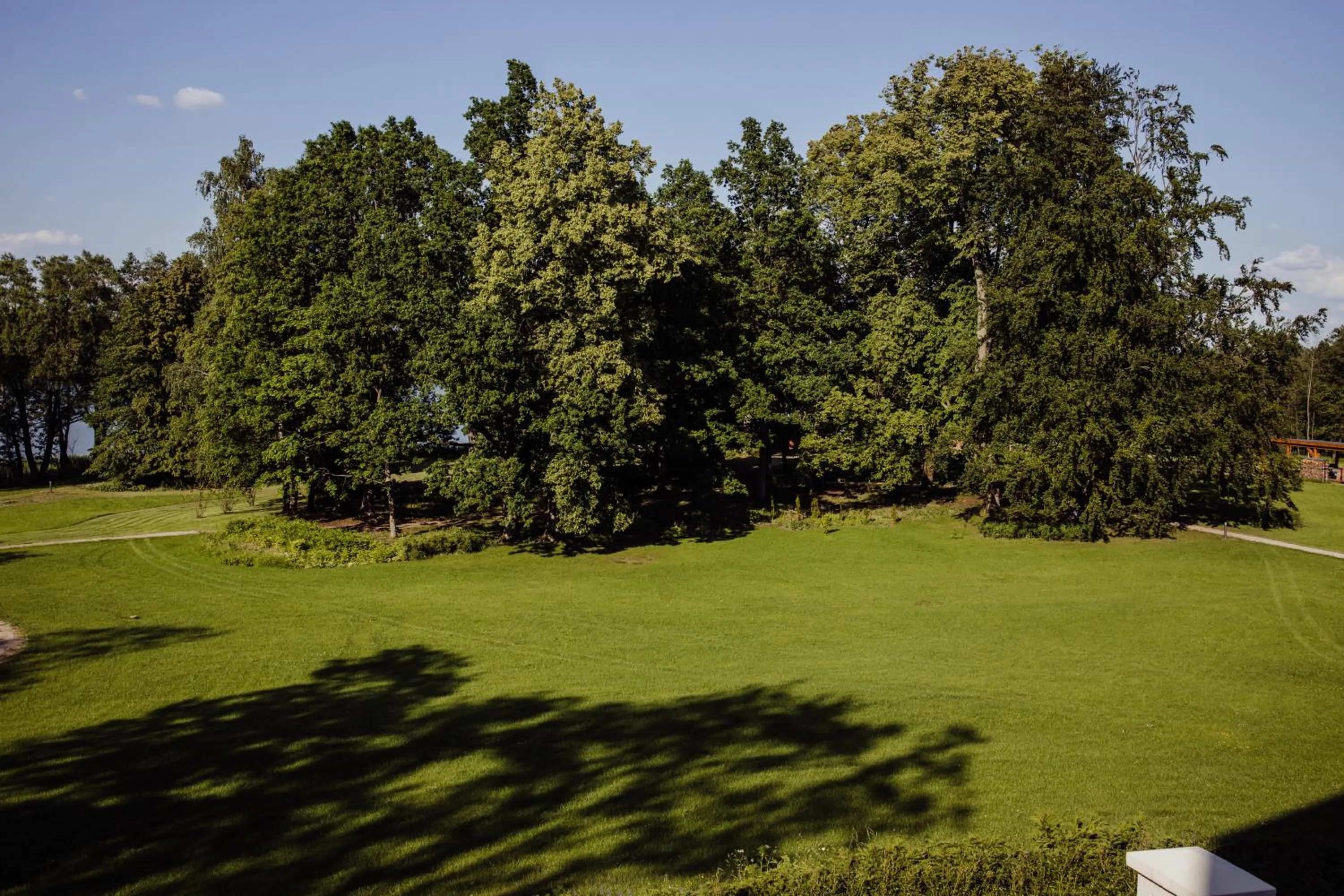 Garden in Pałac Warlity
