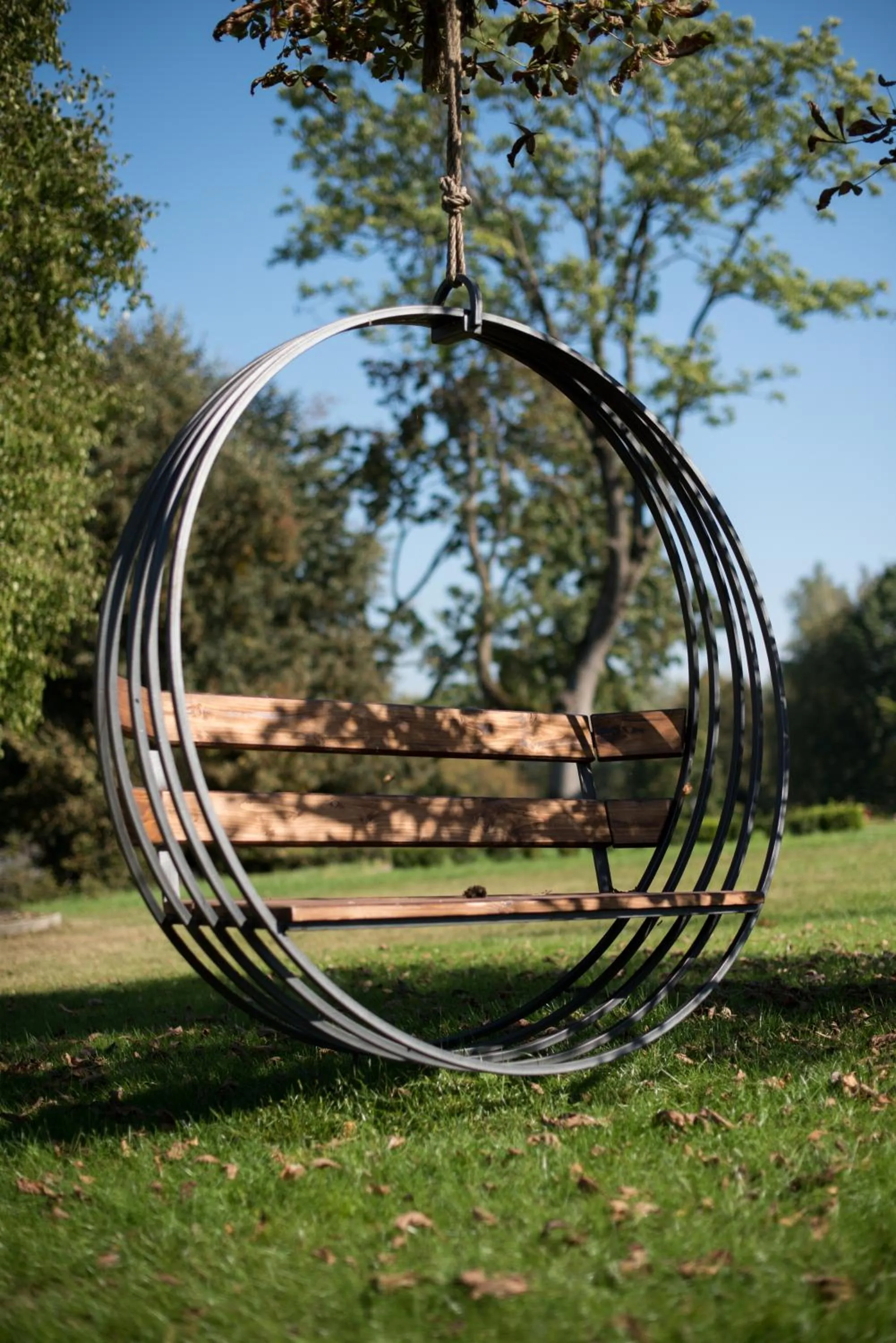 Activities in Pałac Warlity