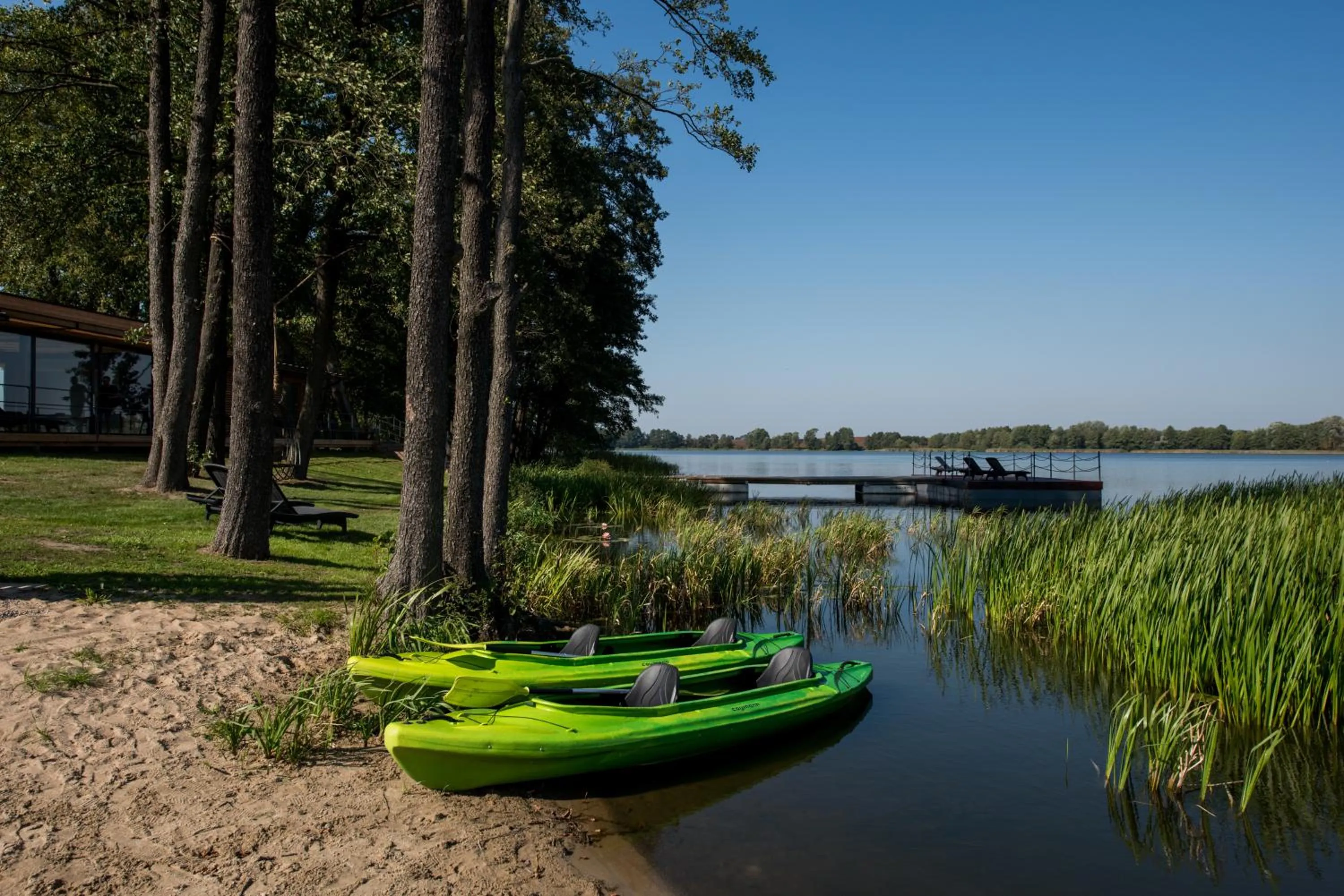 Natural landscape in Pałac Warlity