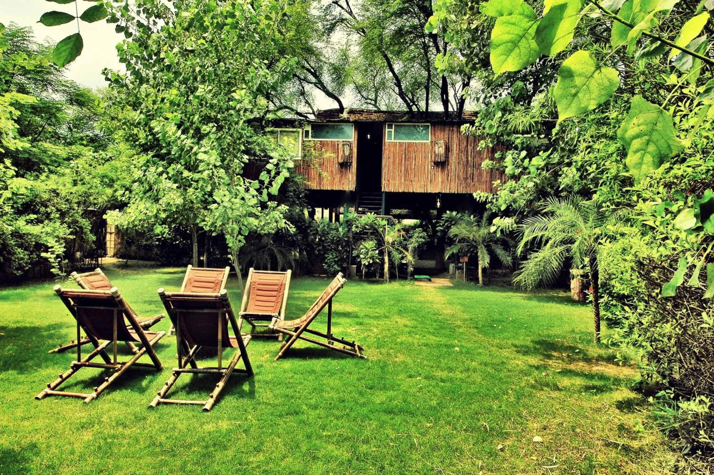 Day in The Tree House Resort, A Club Mahindra Associate