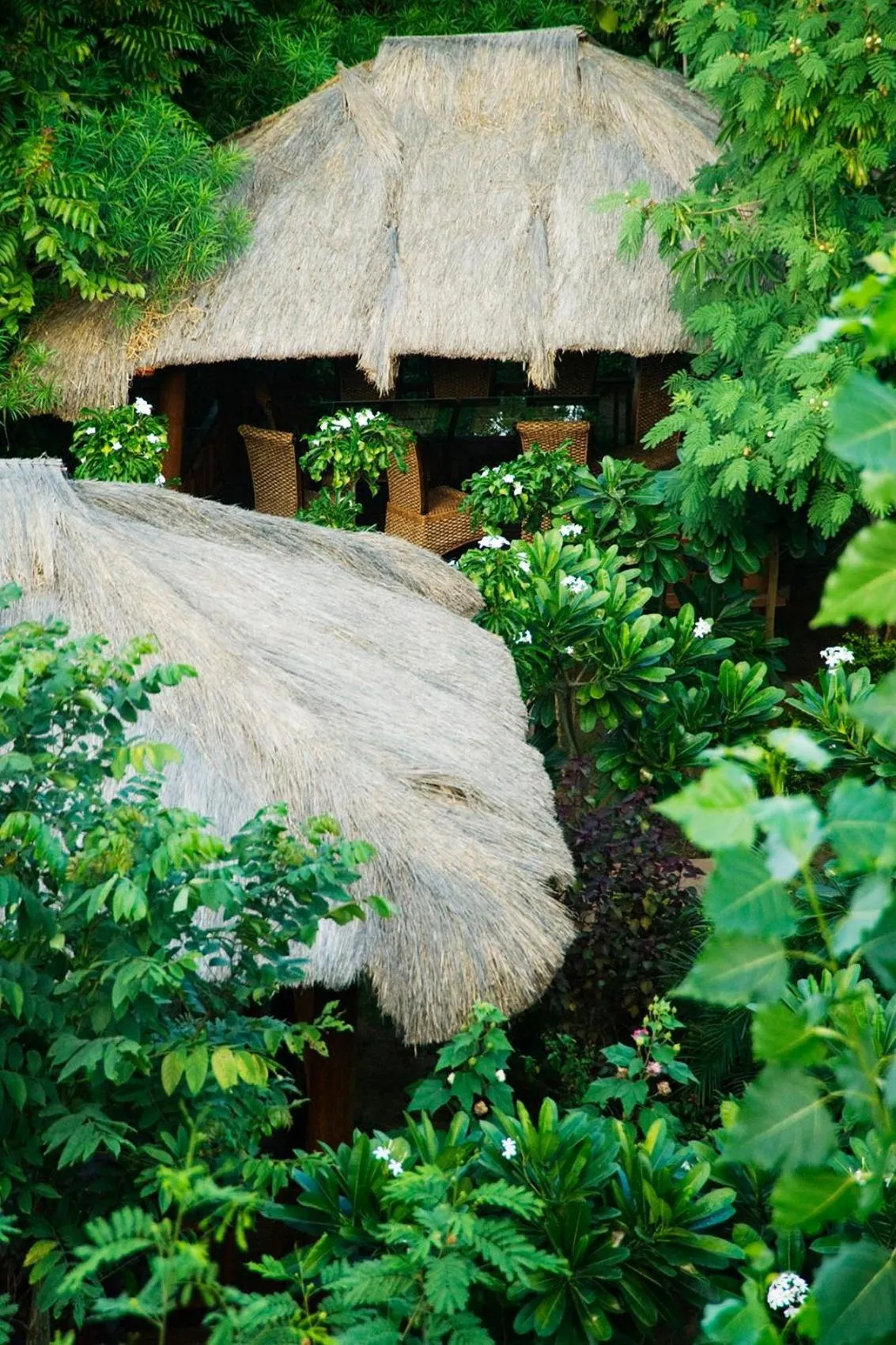 Other in The Tree House Resort, A Club Mahindra Associate
