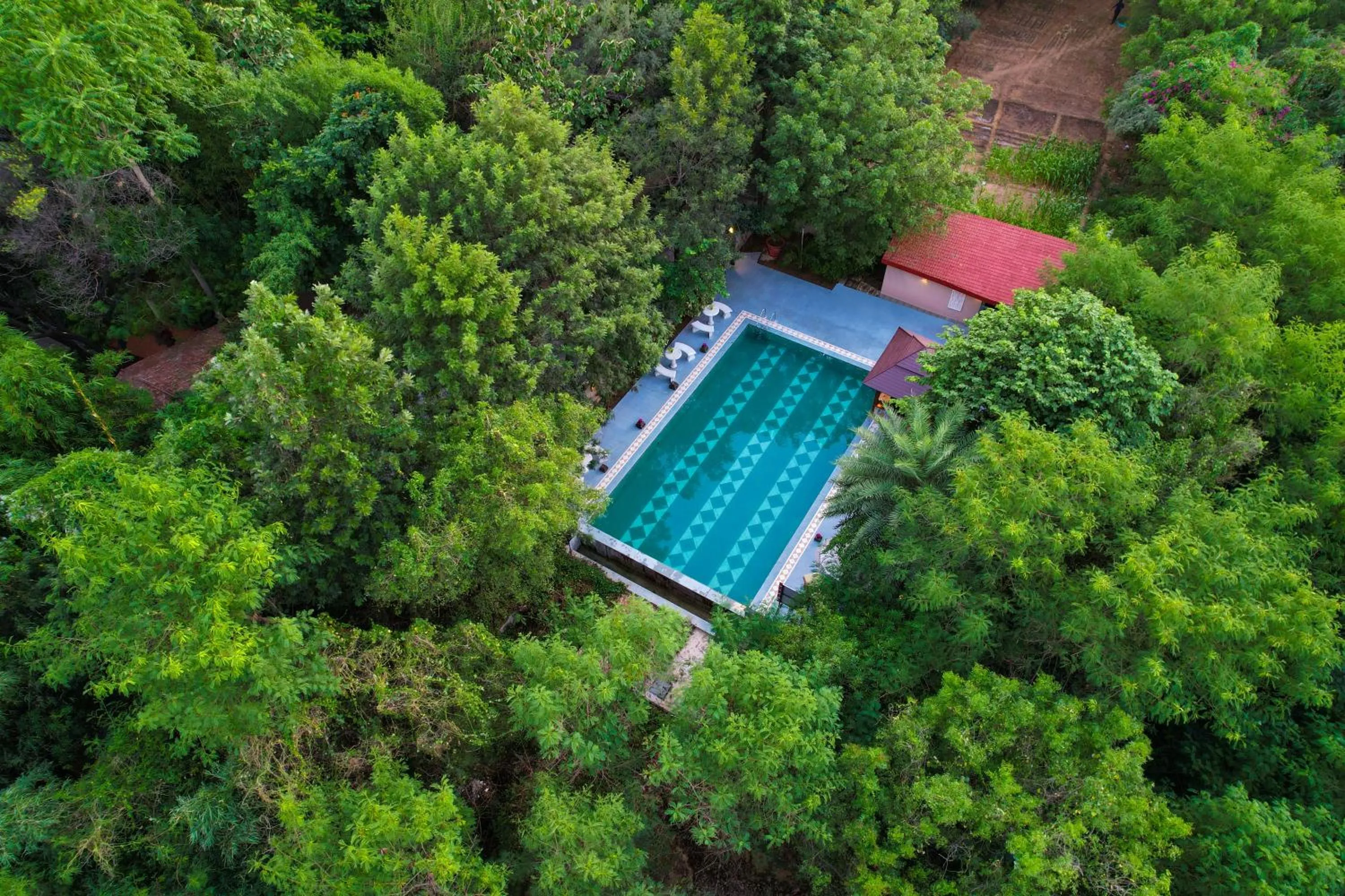 Swimming pool in The Tree House Resort, A Club Mahindra Associate