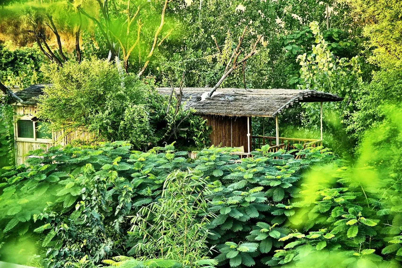 Other in The Tree House Resort, A Club Mahindra Associate