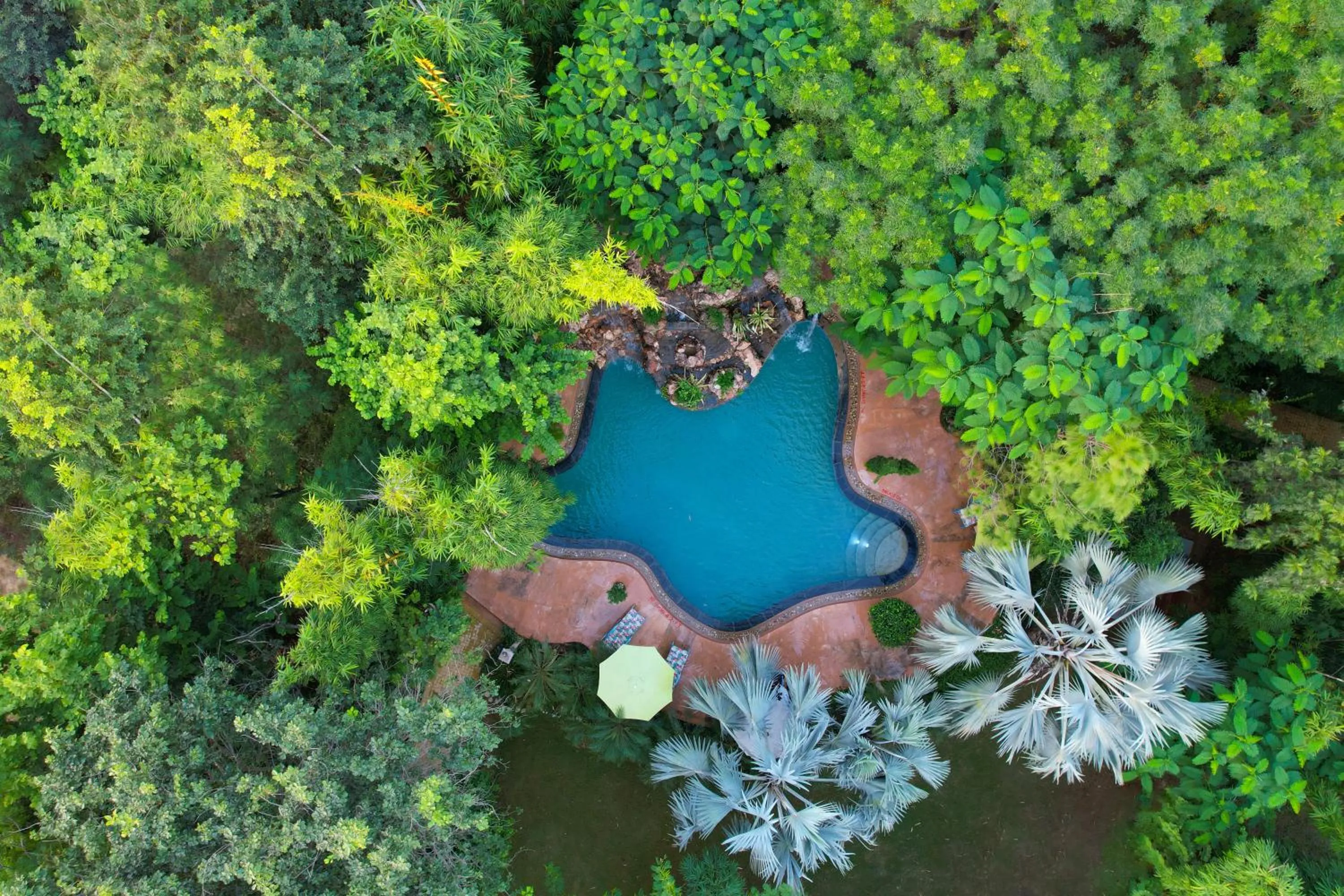 Swimming pool in The Tree House Resort, A Club Mahindra Associate