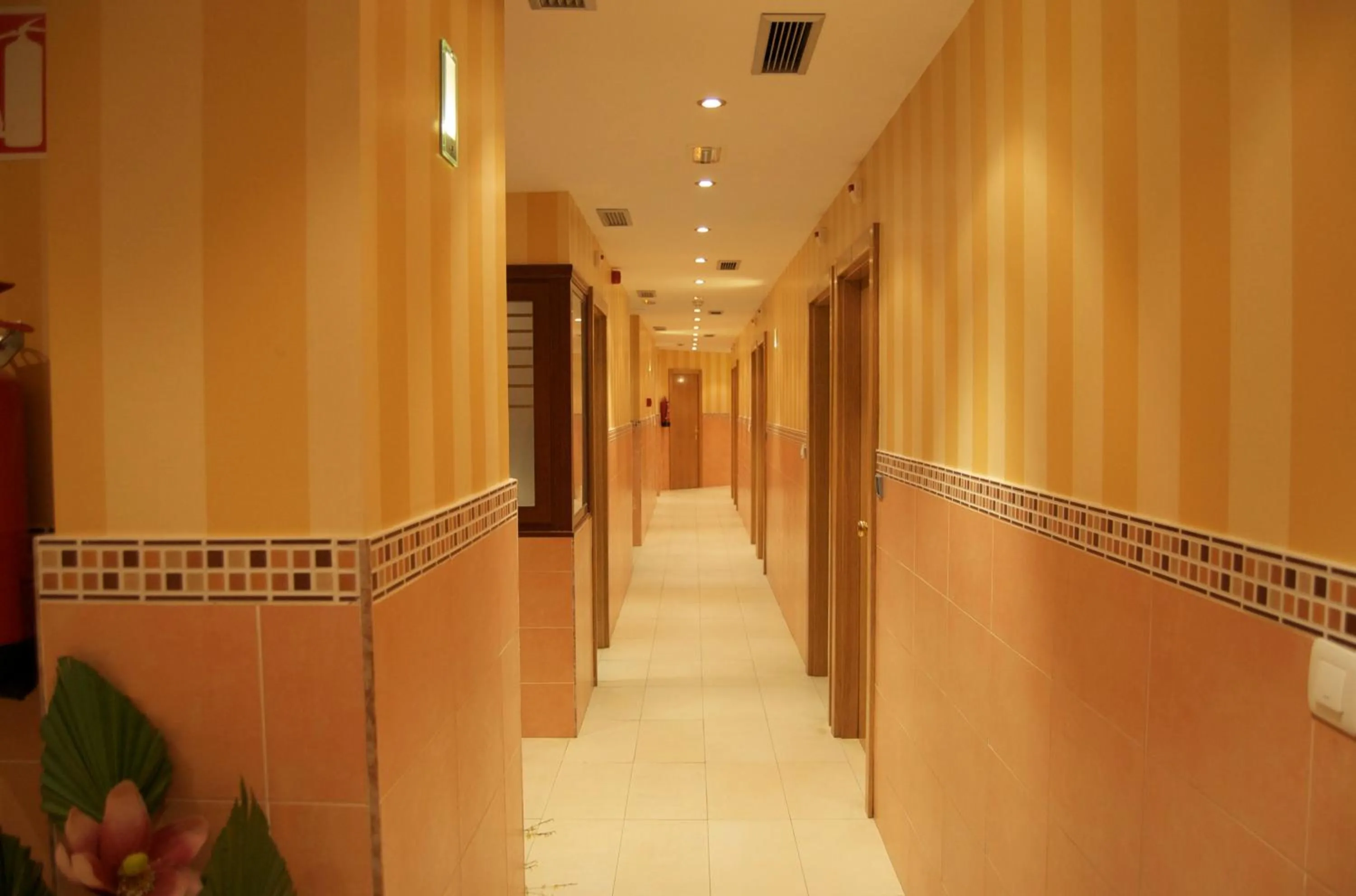 Pension Zorroza 1