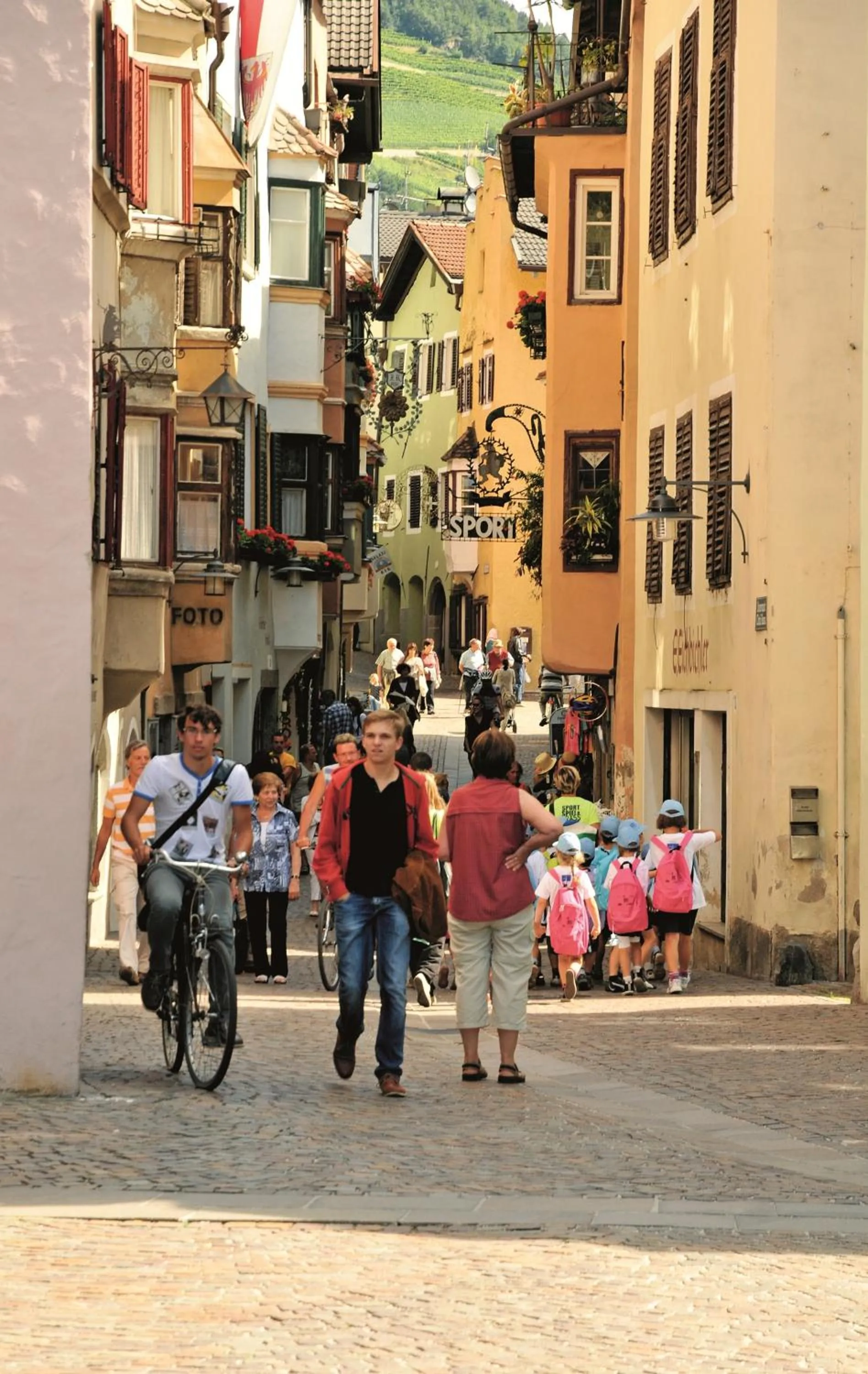 Area and facilities in Hotel Walther v.d. Vogelweide Superior