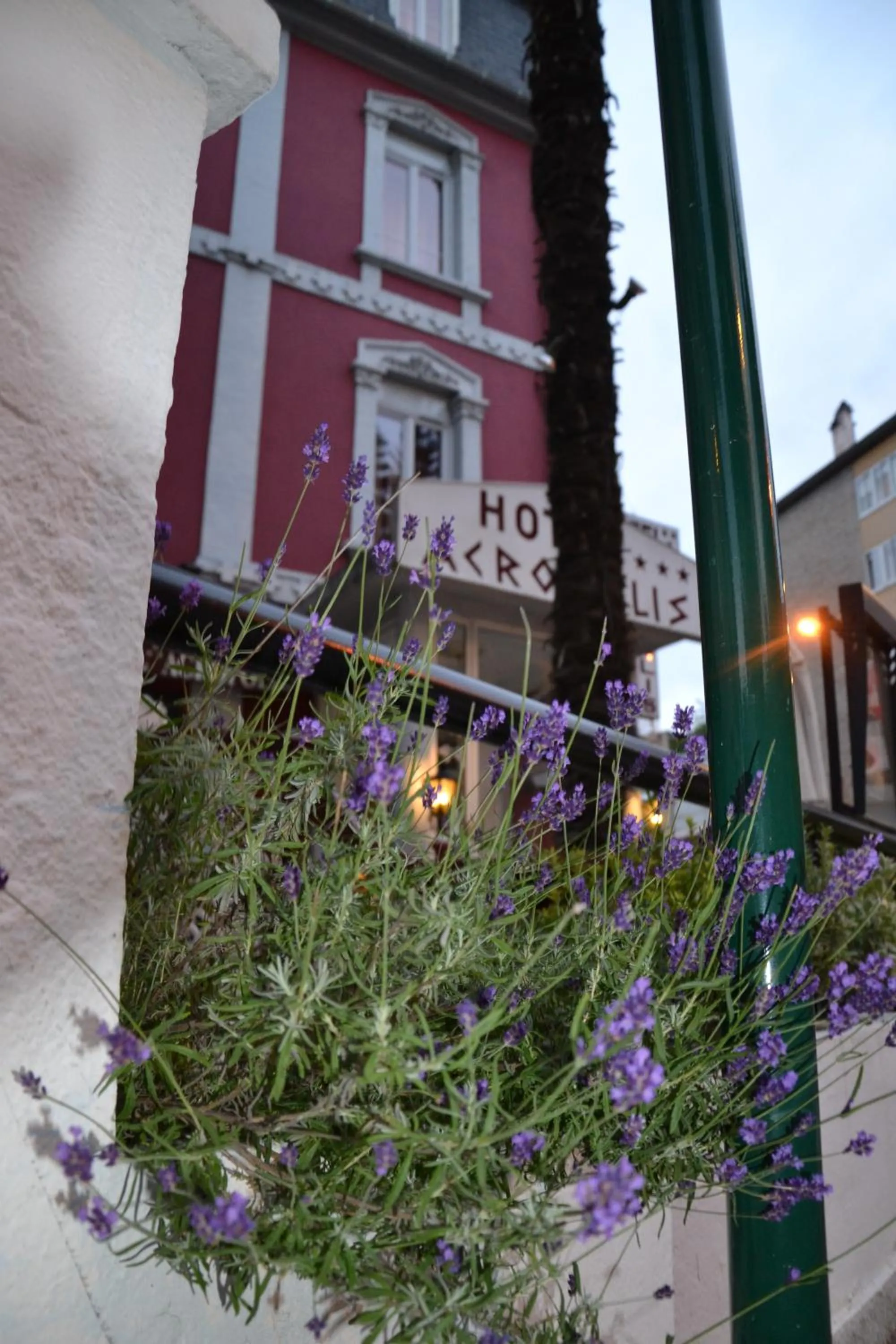 Hôtel Acropolis - Lourdes