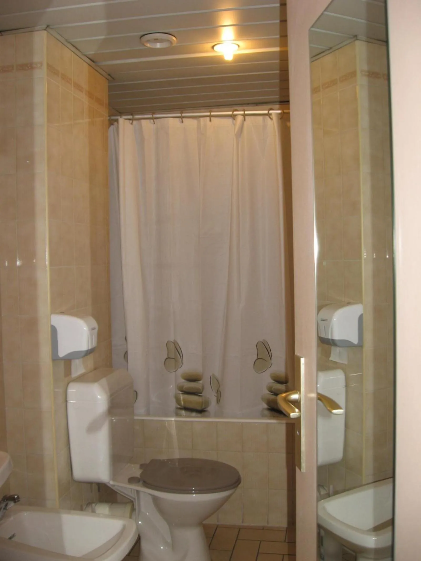 Hôtel Acropolis - Lourdes