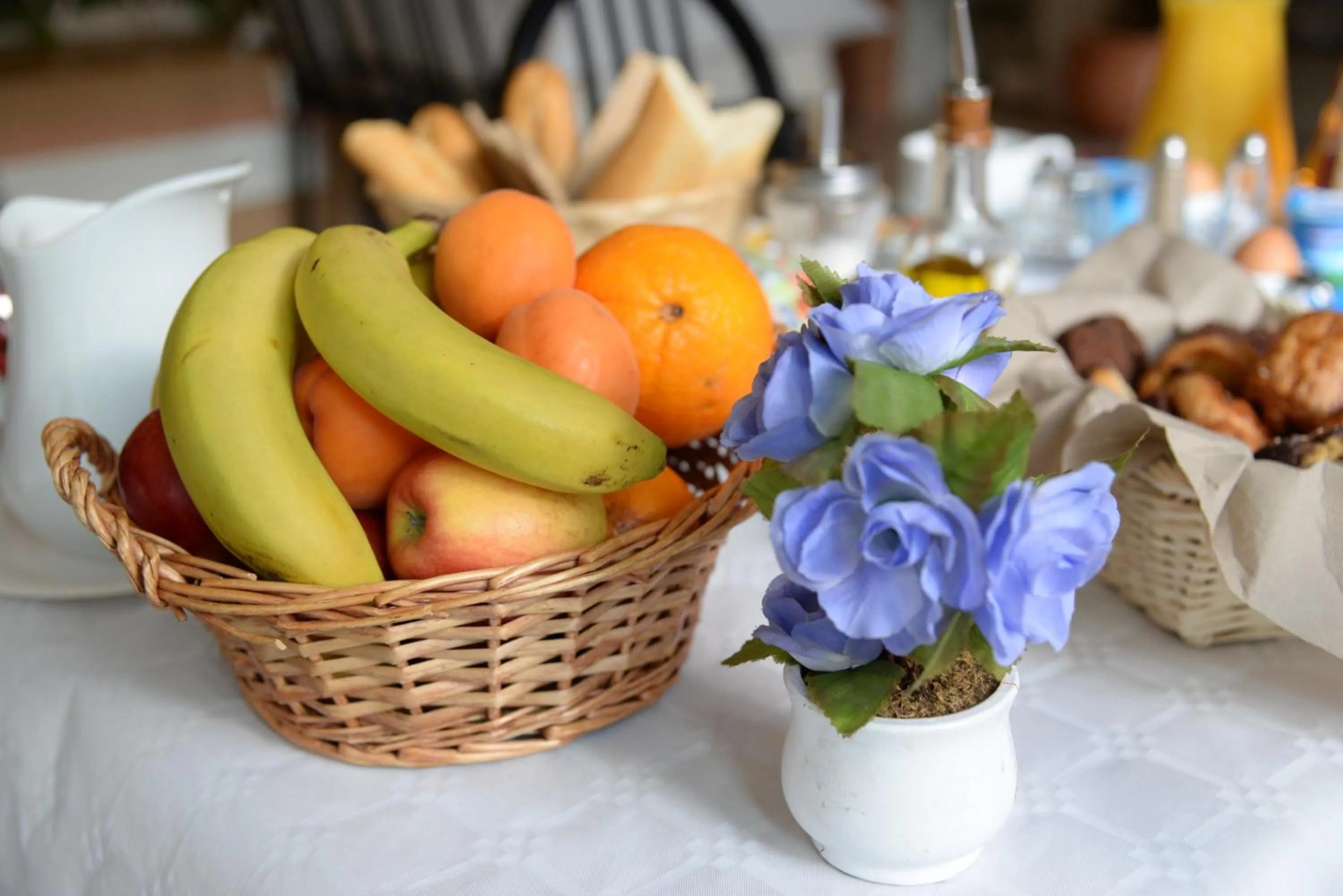 Hôtel Acropolis - Lourdes