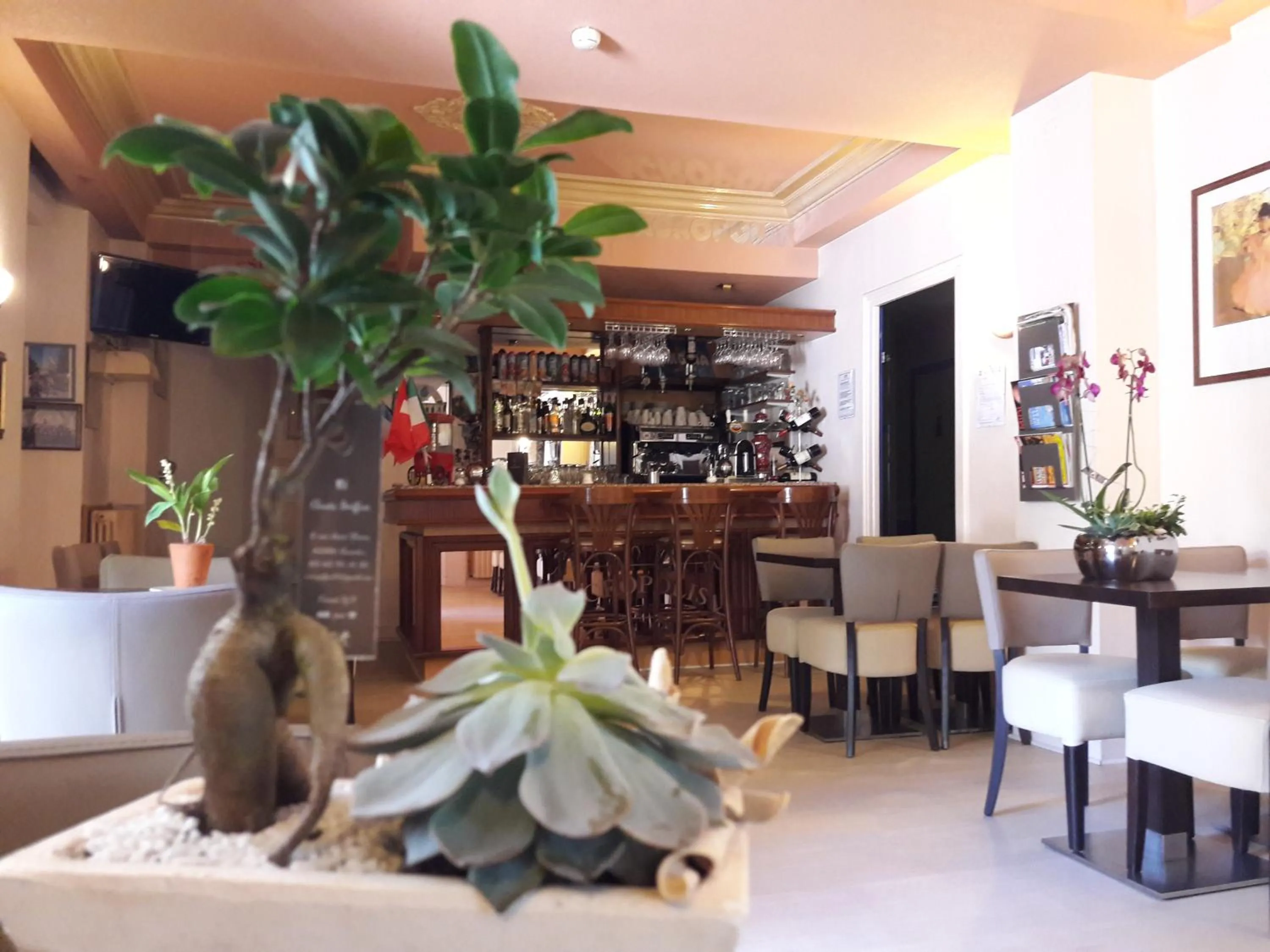 Hôtel Acropolis - Lourdes