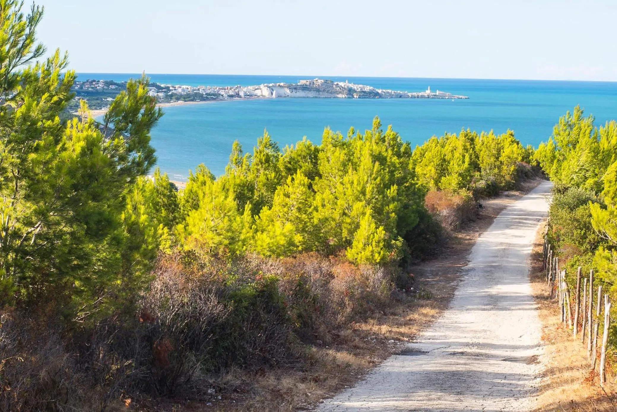 Nearby landmark in Casa Colletta Vieste