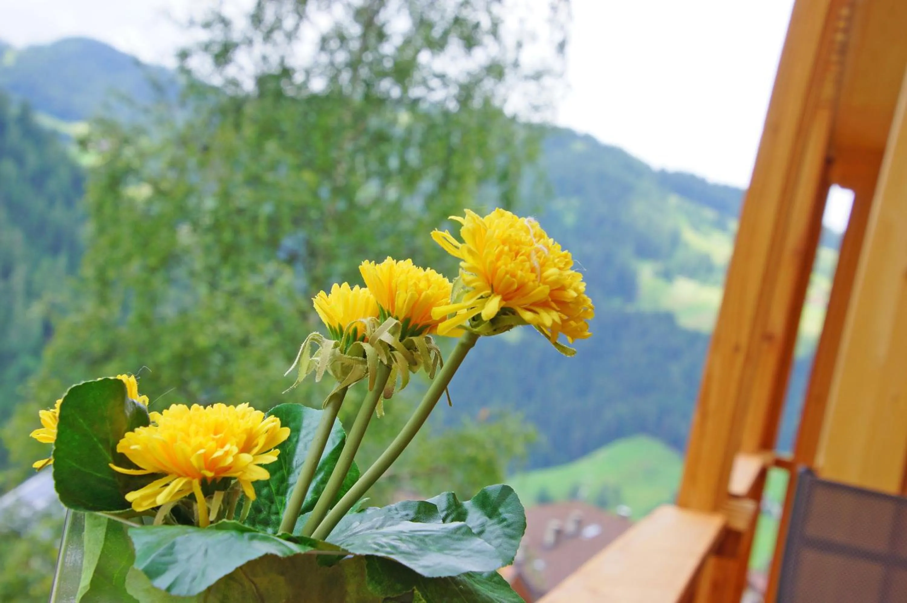 Balcony/Terrace in La Palsa