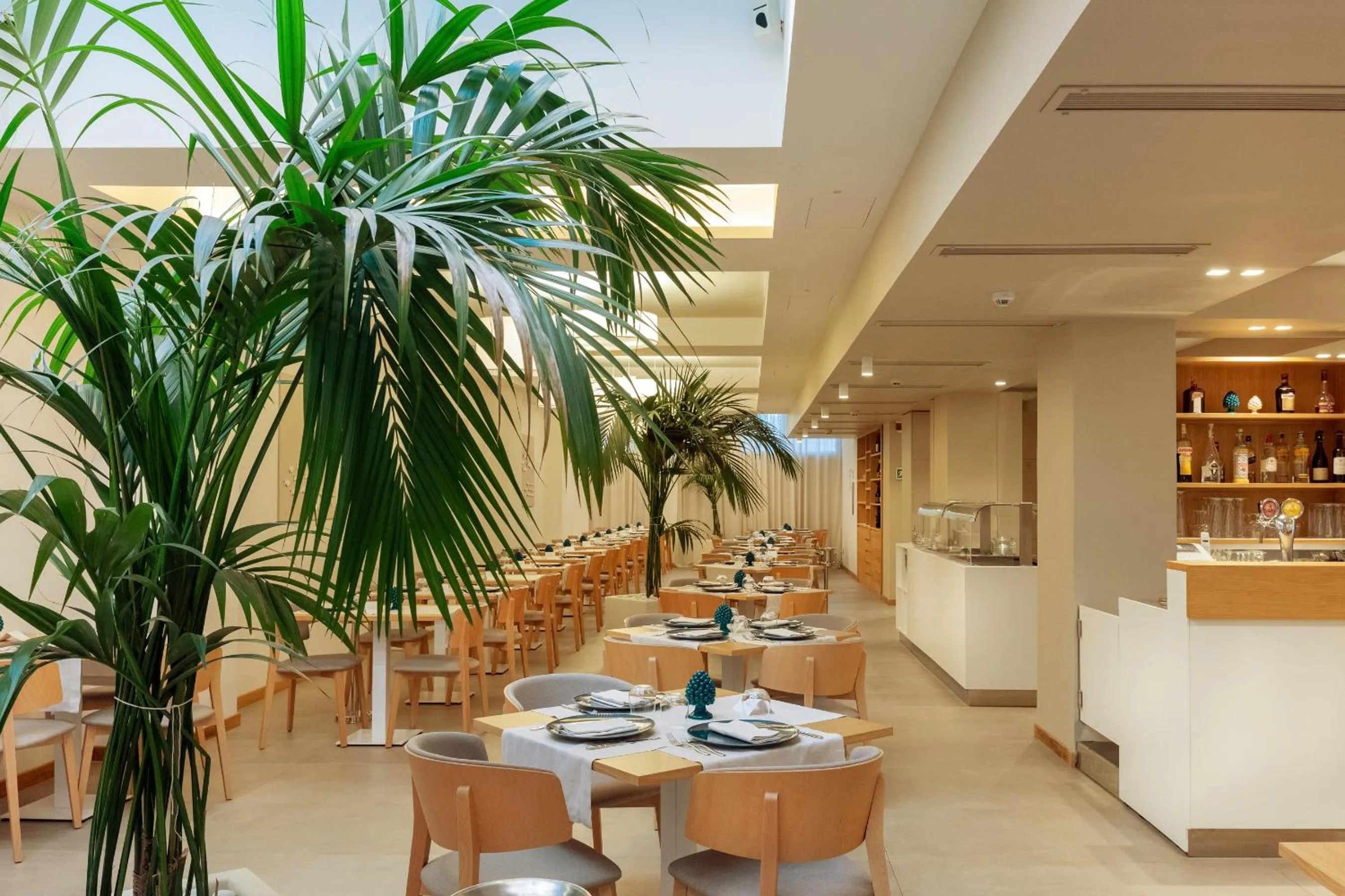 Restaurant/places to eat in Albatros Beach Hotel
