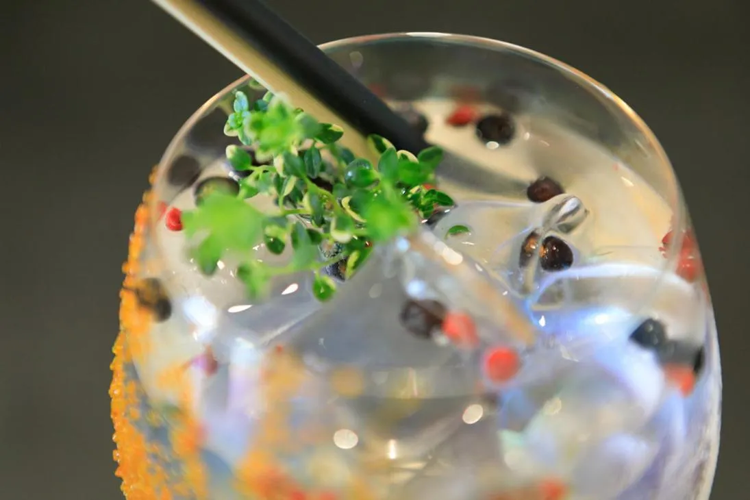 Drinks in Albatros Beach Hotel