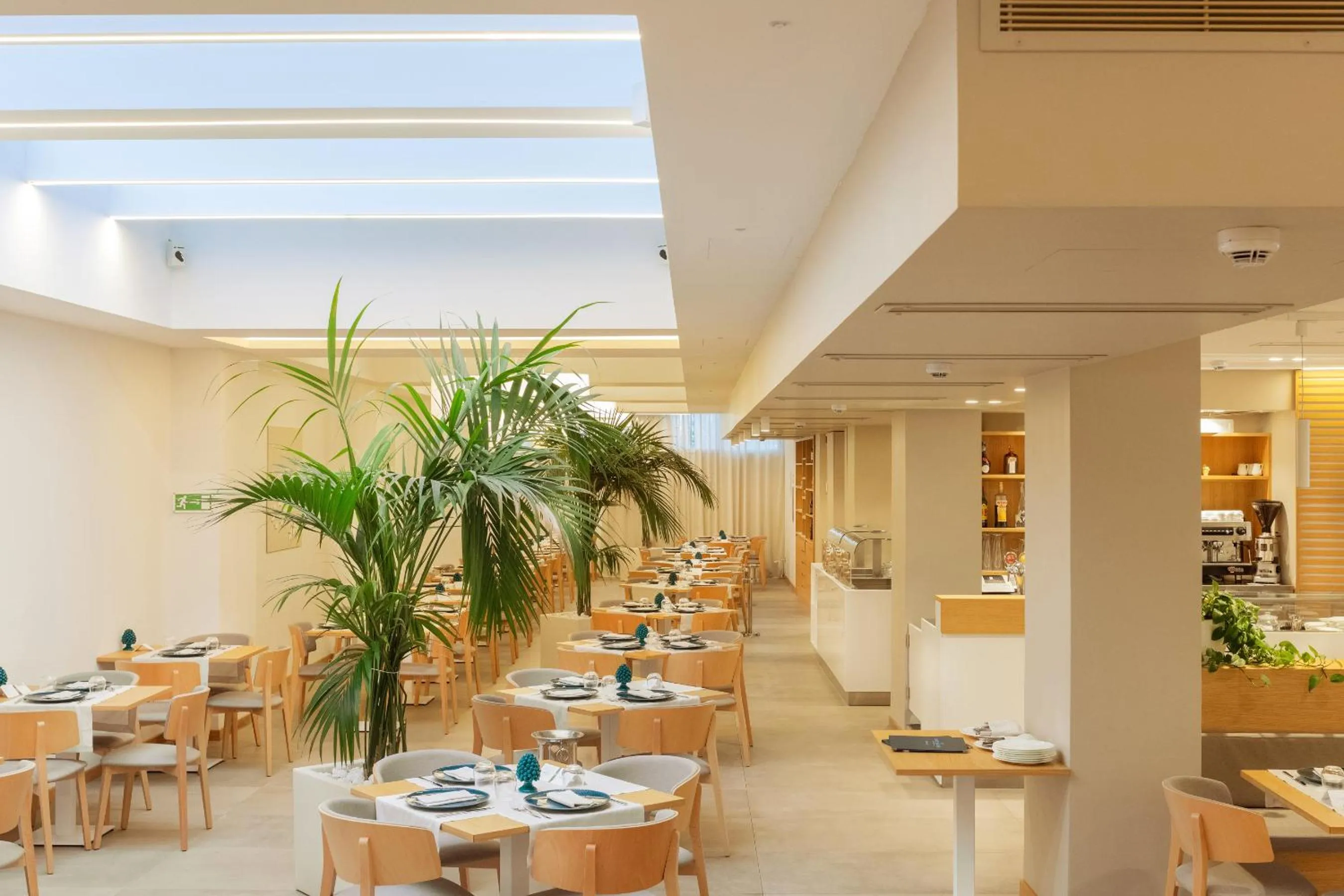 Restaurant/places to eat in Albatros Beach Hotel