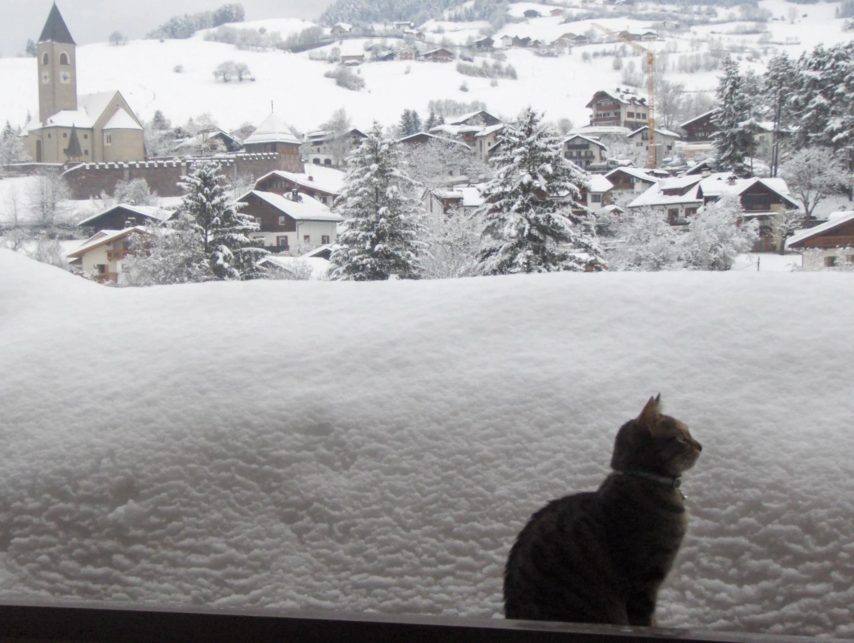 Neighbourhood in Alpin-Residence Amadeus