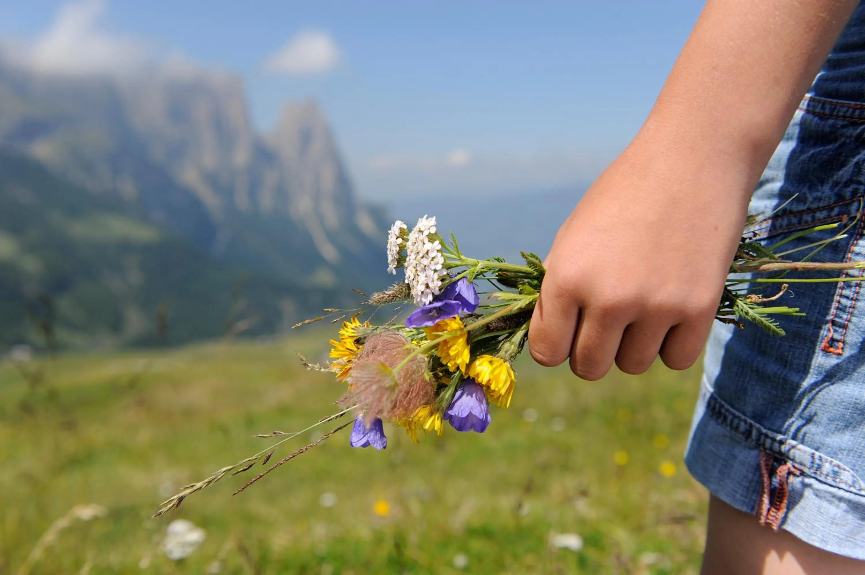 Spring in Alpin-Residence Amadeus