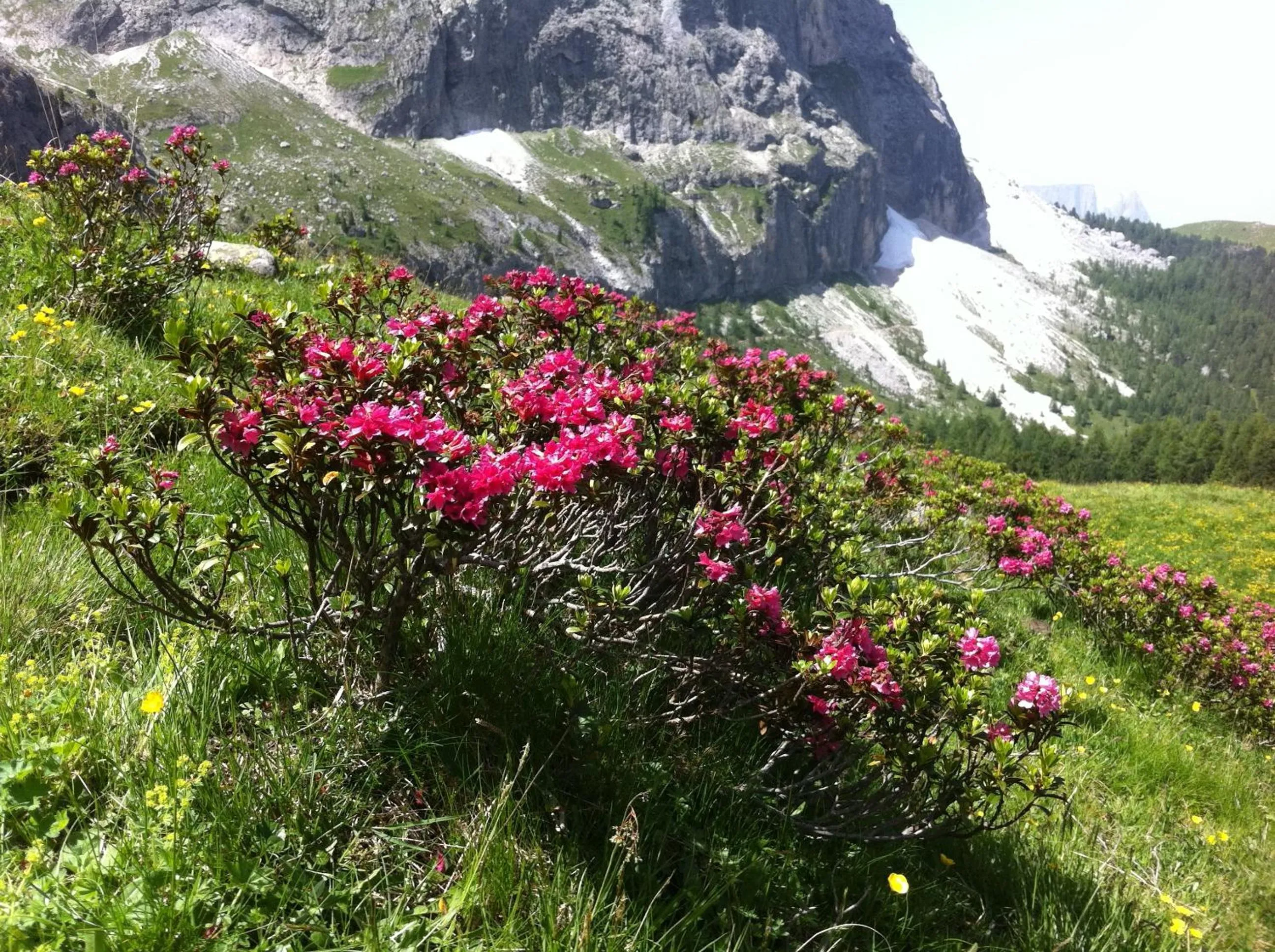 Natural landscape in Garni la Bercia