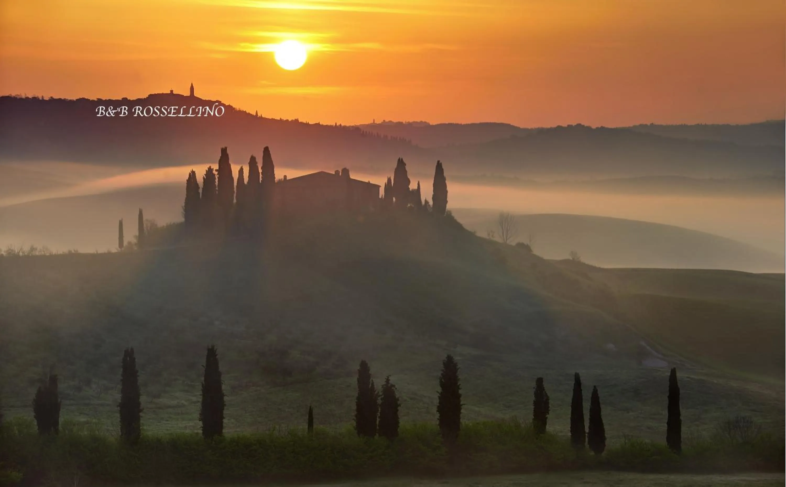 Other in ROSSELLINO®