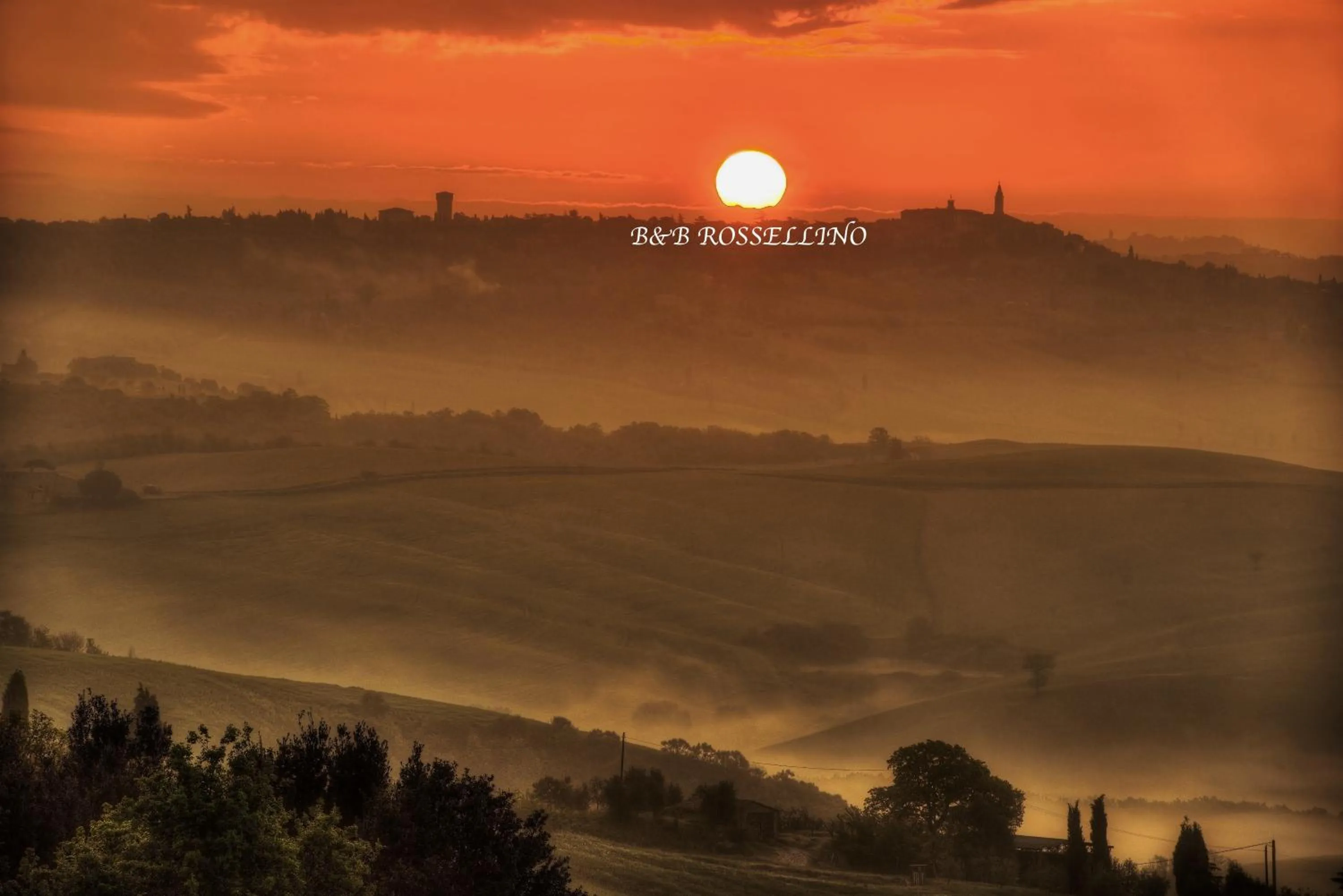 Other in ROSSELLINO®