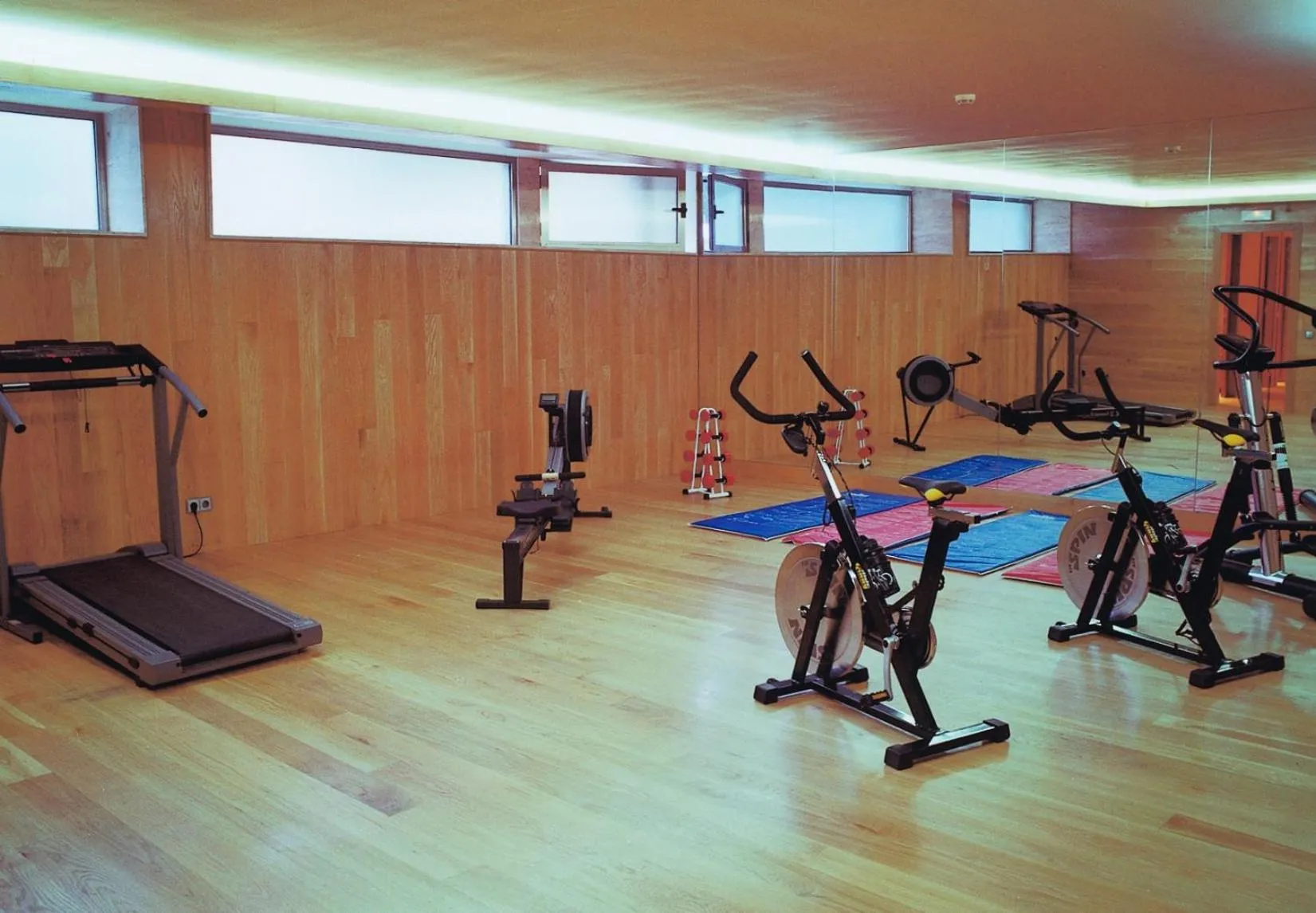Fitness centre/facilities in Hotel Estrella Norte