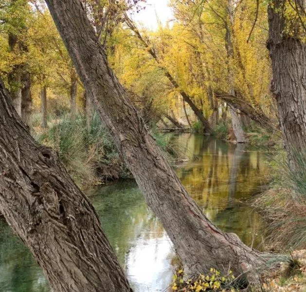 Hotel Ciudad Pozo Alcón