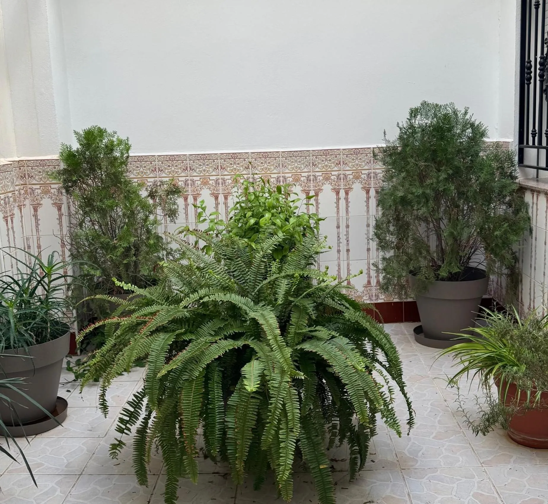 Hotel Ciudad Pozo Alcón