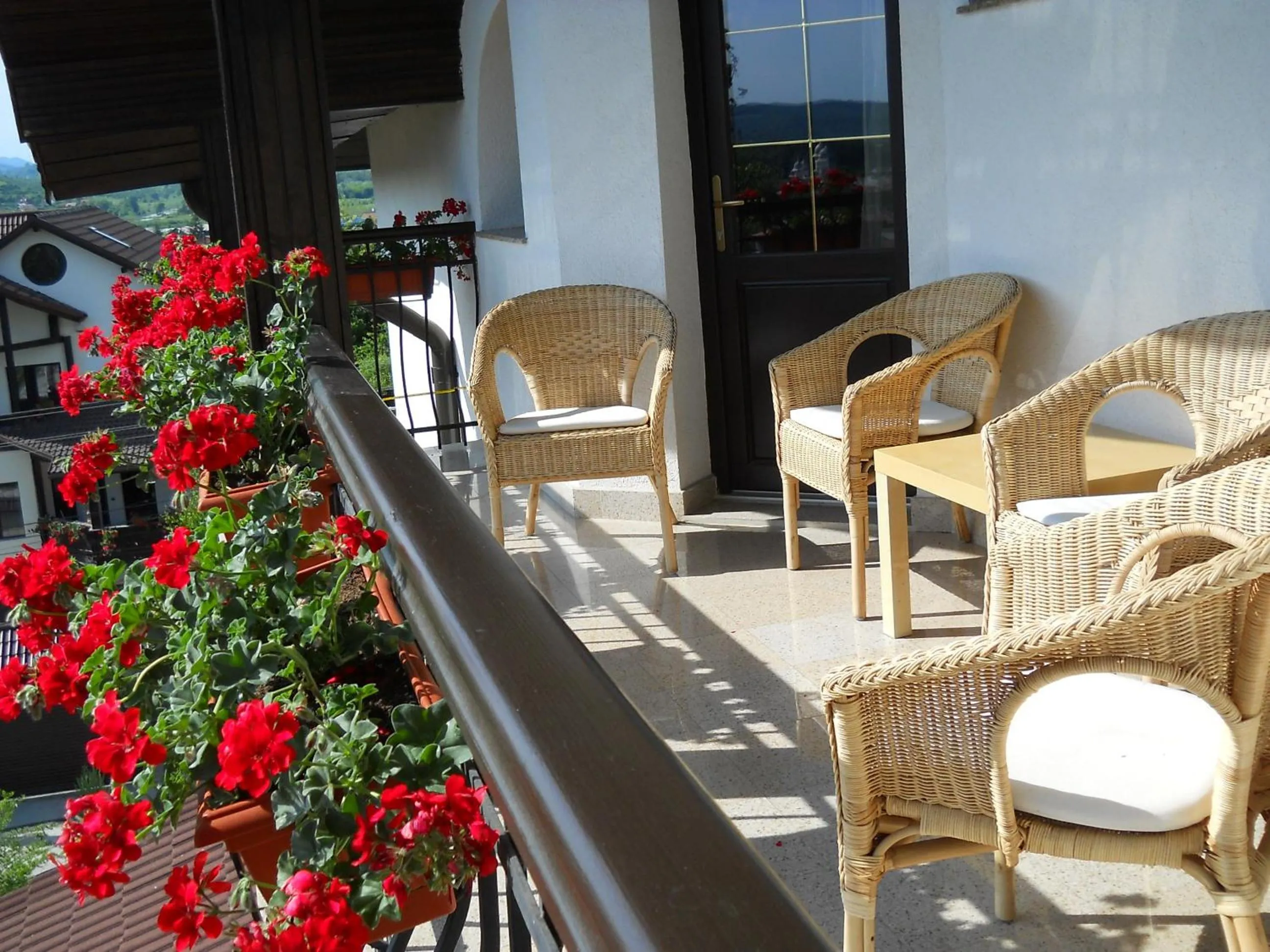 Day in Casa Domneasca