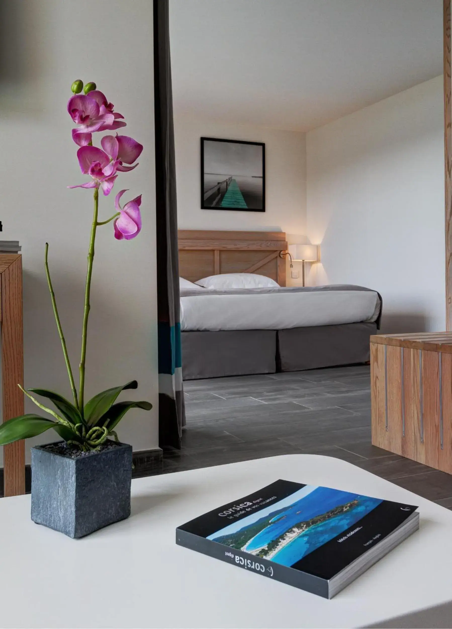 Deluxe Junior Suite in Hotel Carre Noir Deluxe Junior Suite in Hotel Carre Noir