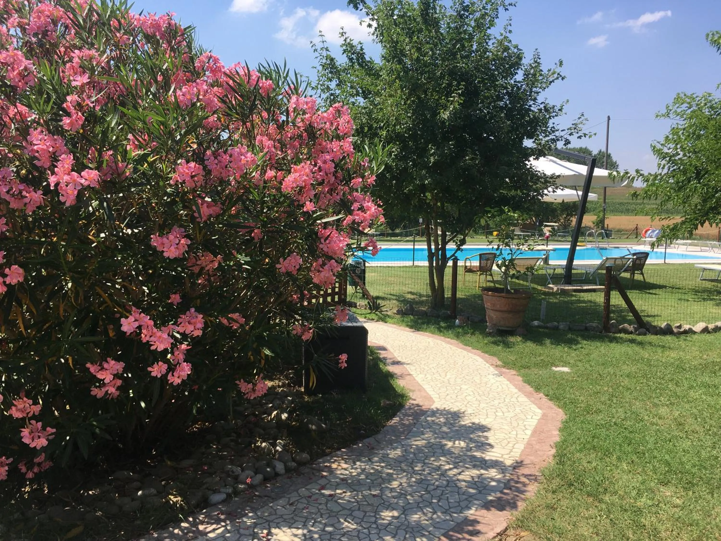 Pool view in Agriturismo La Cascinetta