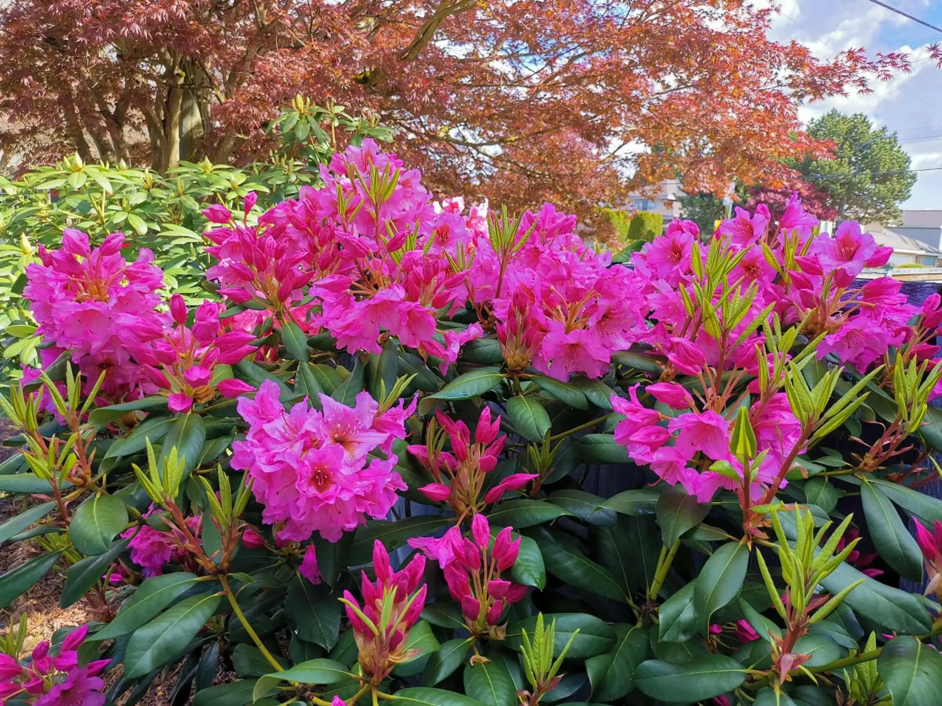 Property building in Bed Plus YVR Property building in Bed Plus YVR