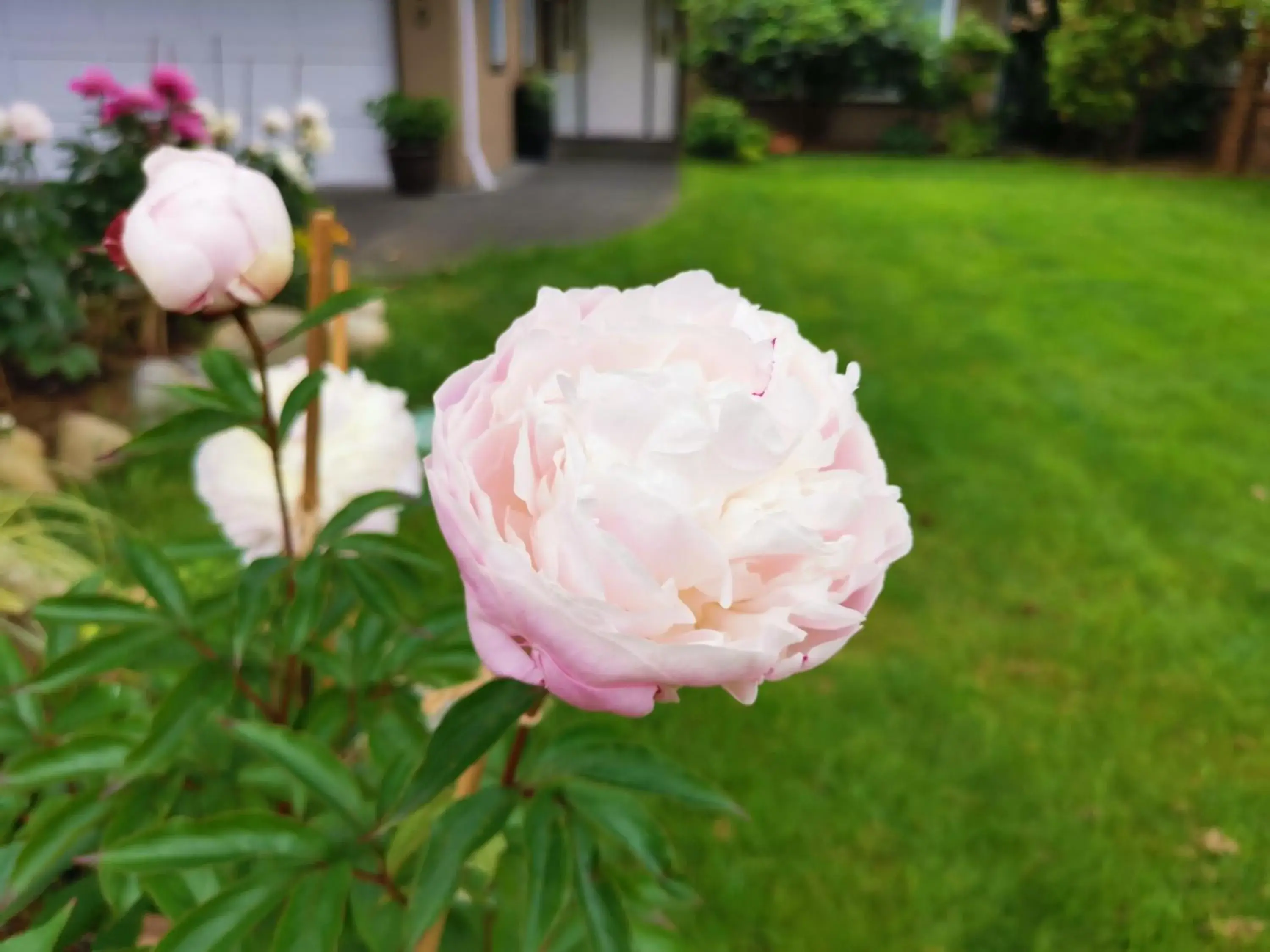 Property building in Bed Plus YVR Property building in Bed Plus YVR