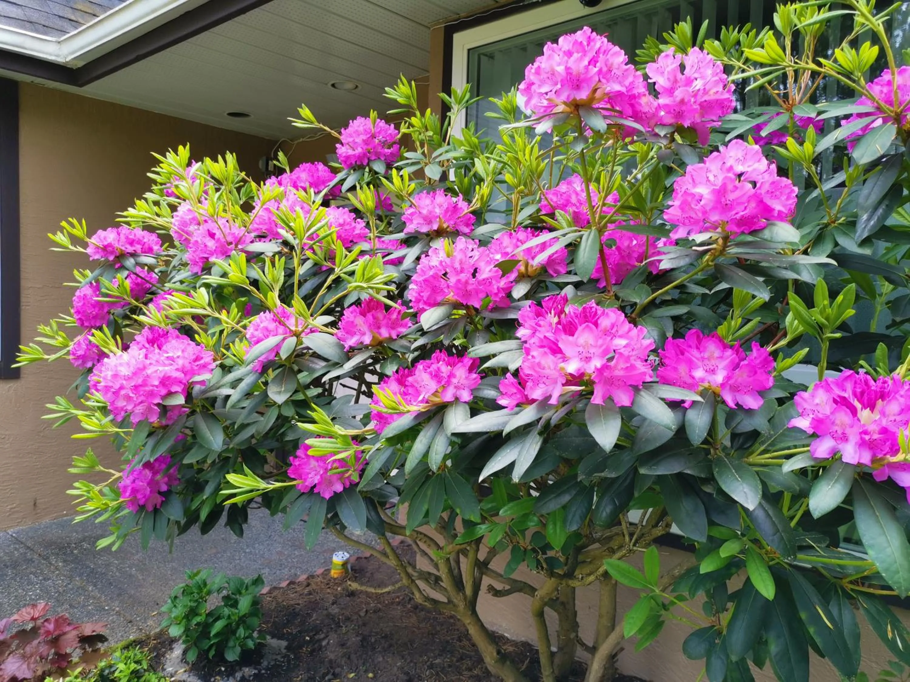 Property building in Bed Plus YVR