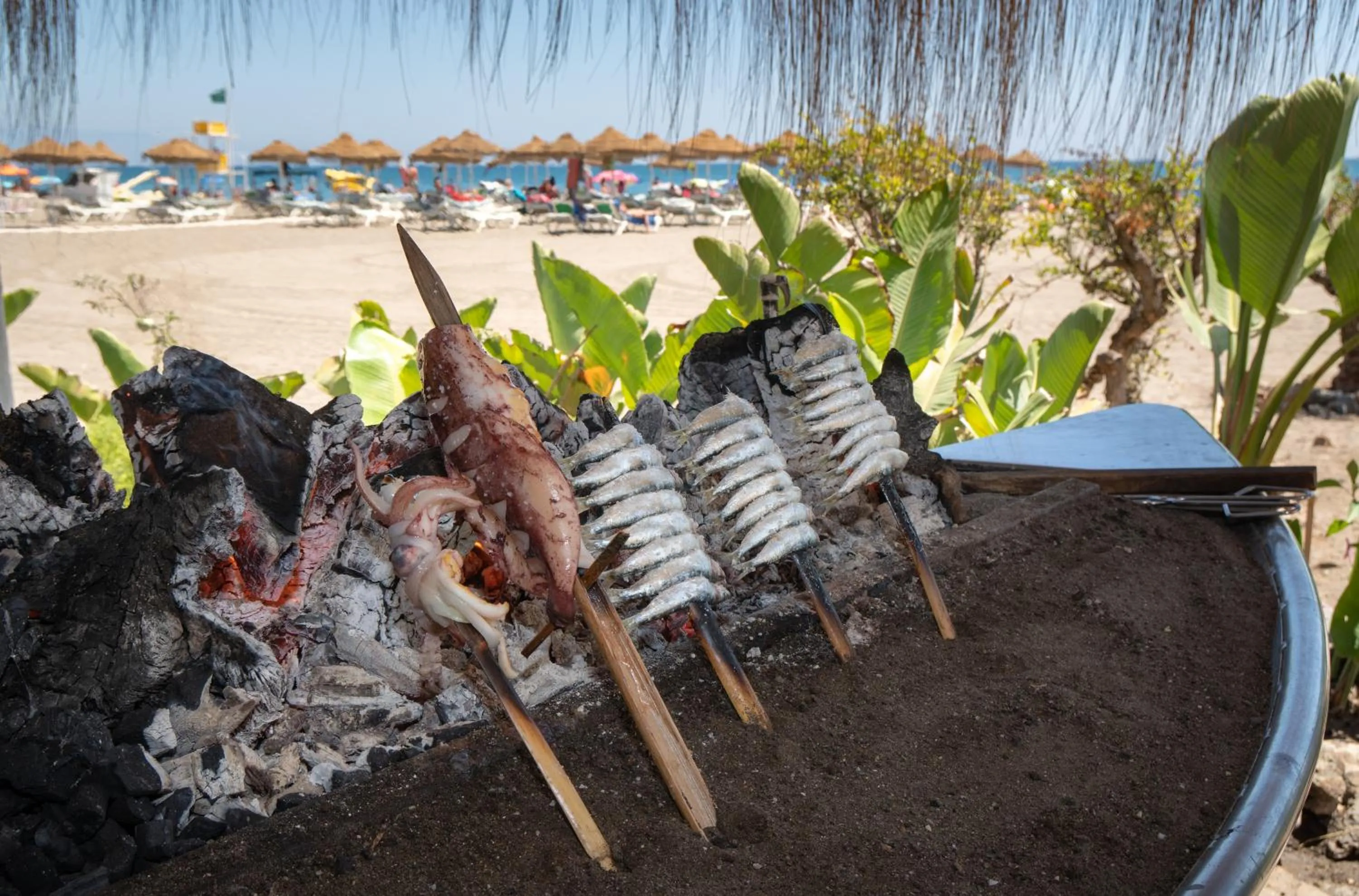 Restaurant/places to eat in MS Amaragua