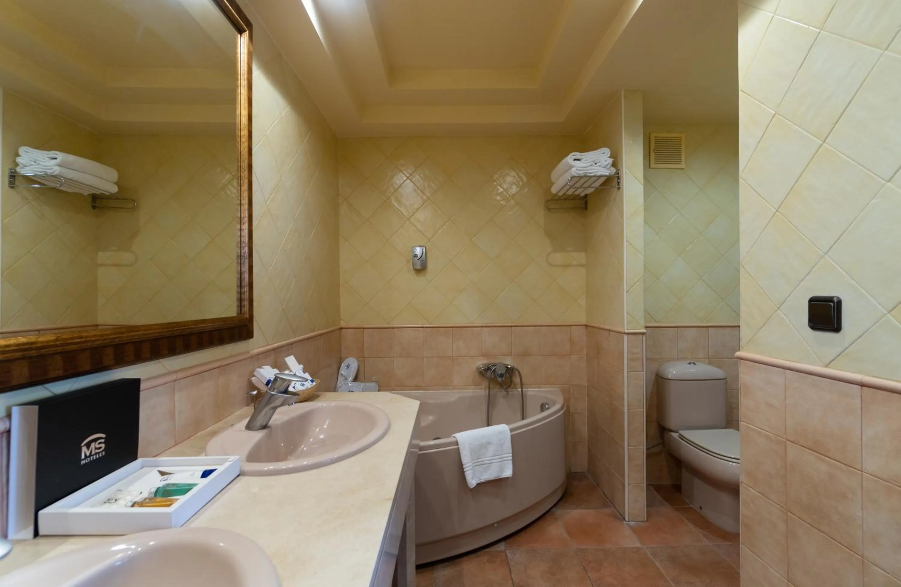 Bathroom in MS Amaragua