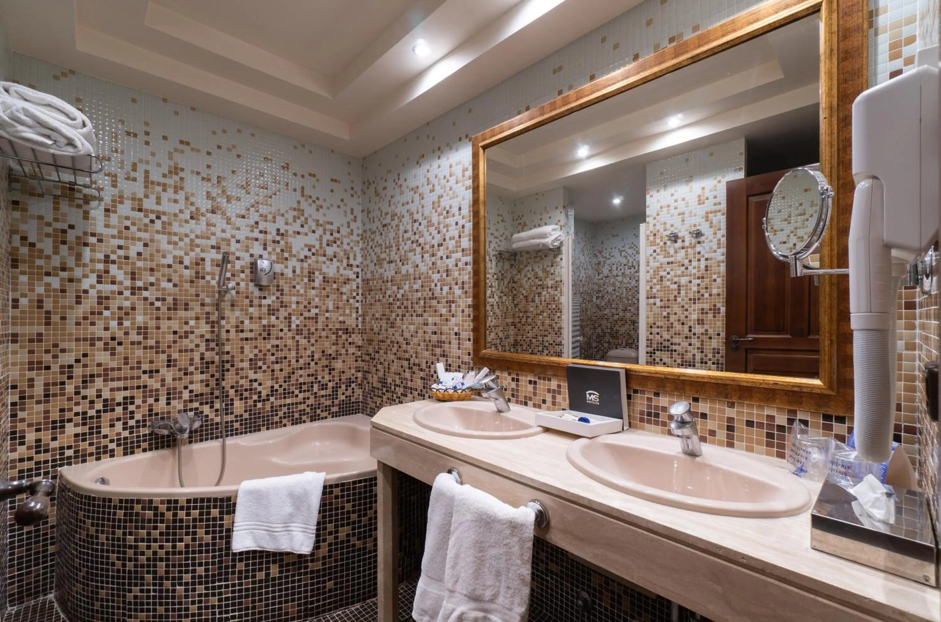 Bathroom in MS Amaragua