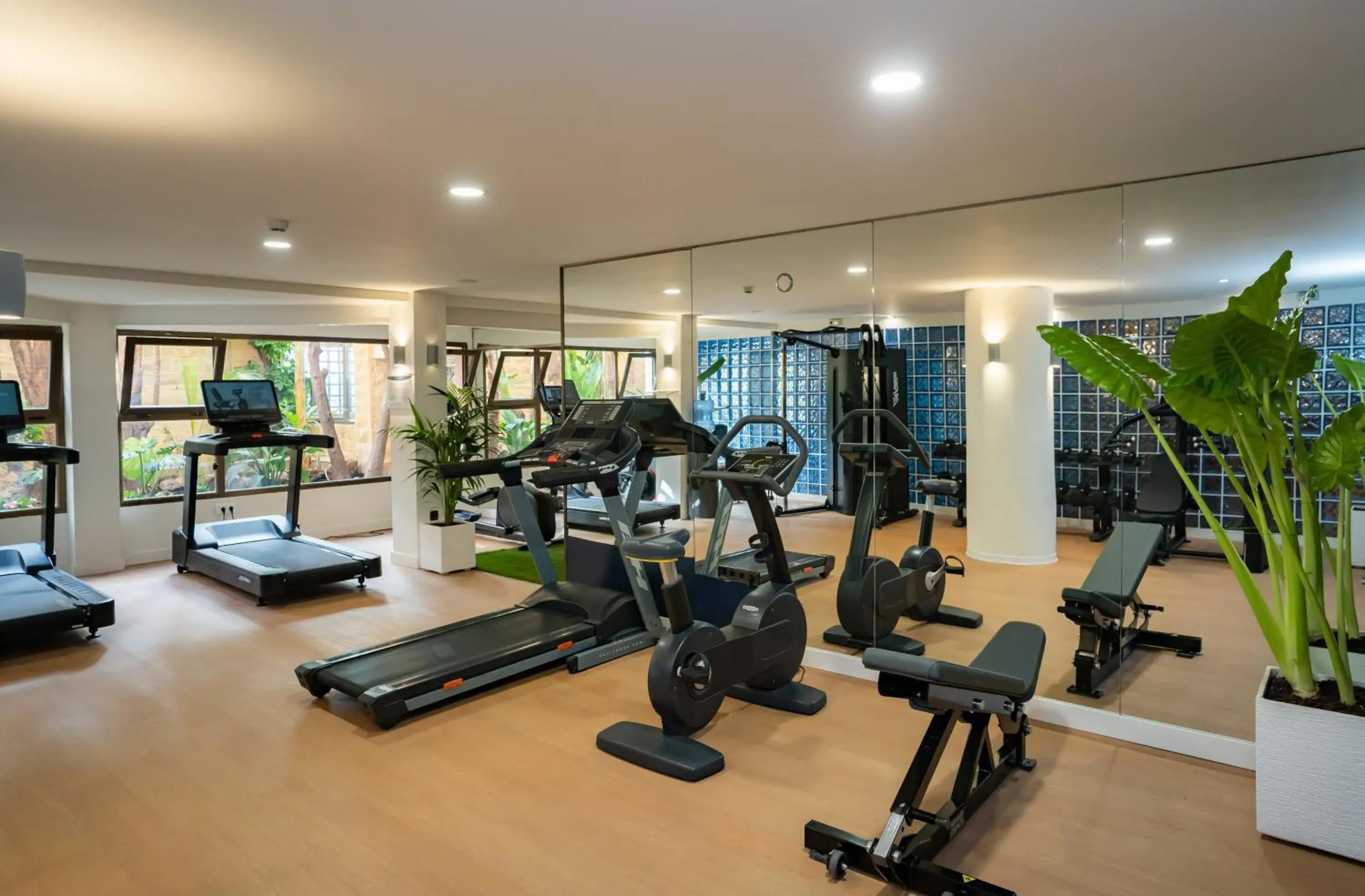 Fitness centre/facilities in MS Amaragua Fitness centre/facilities in MS Amaragua