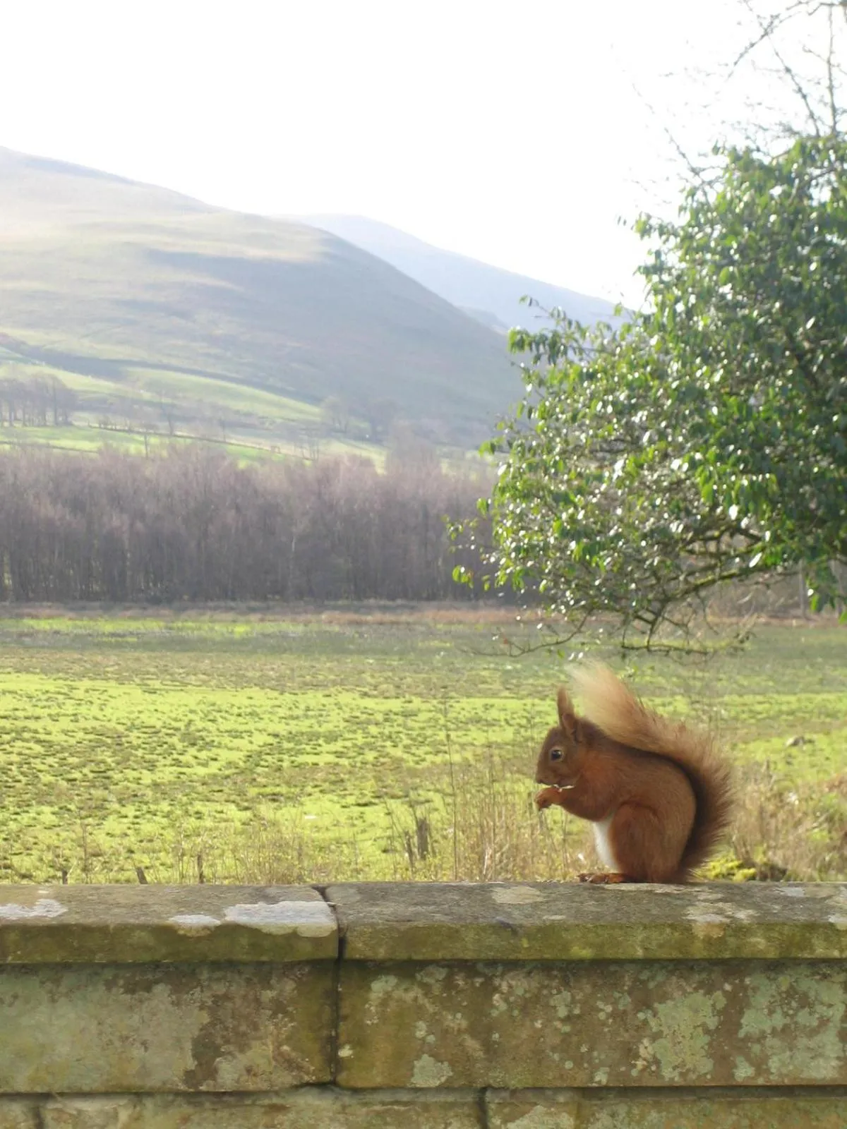 Day in Overwater Hall