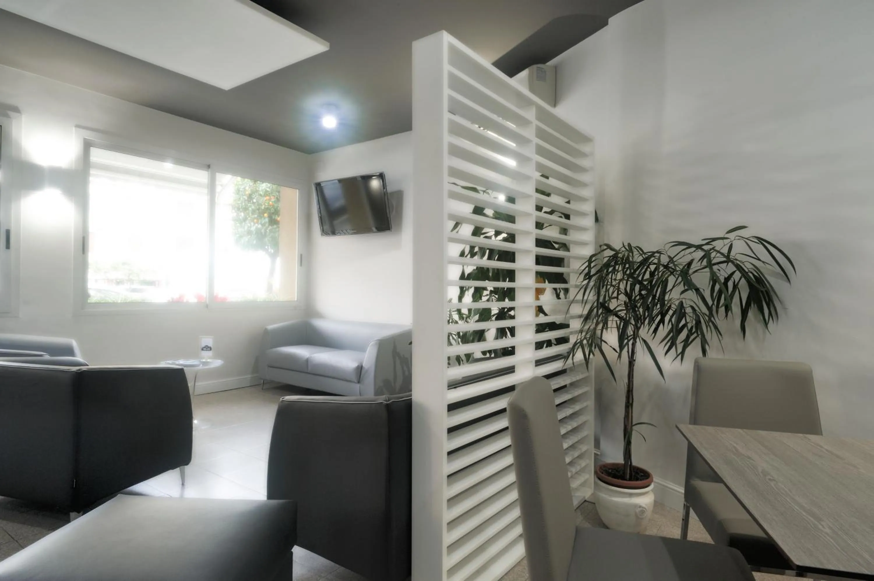 Communal lounge/ TV room in Albergo Anita Alassio